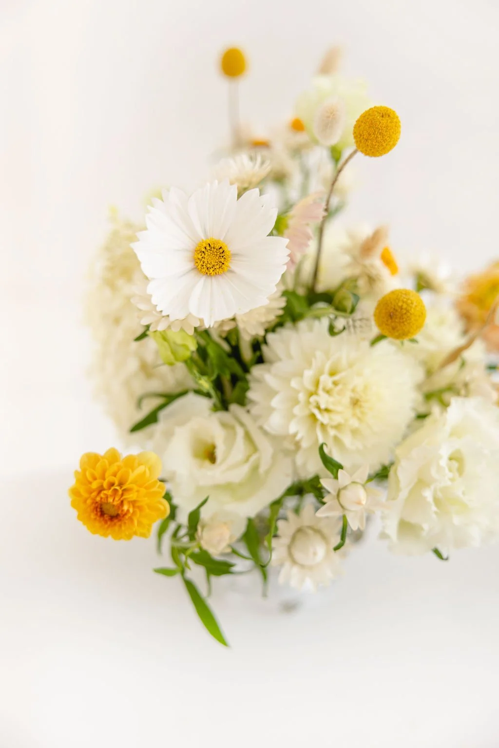8_3_22_Flowerlady_BOW-030.jpg