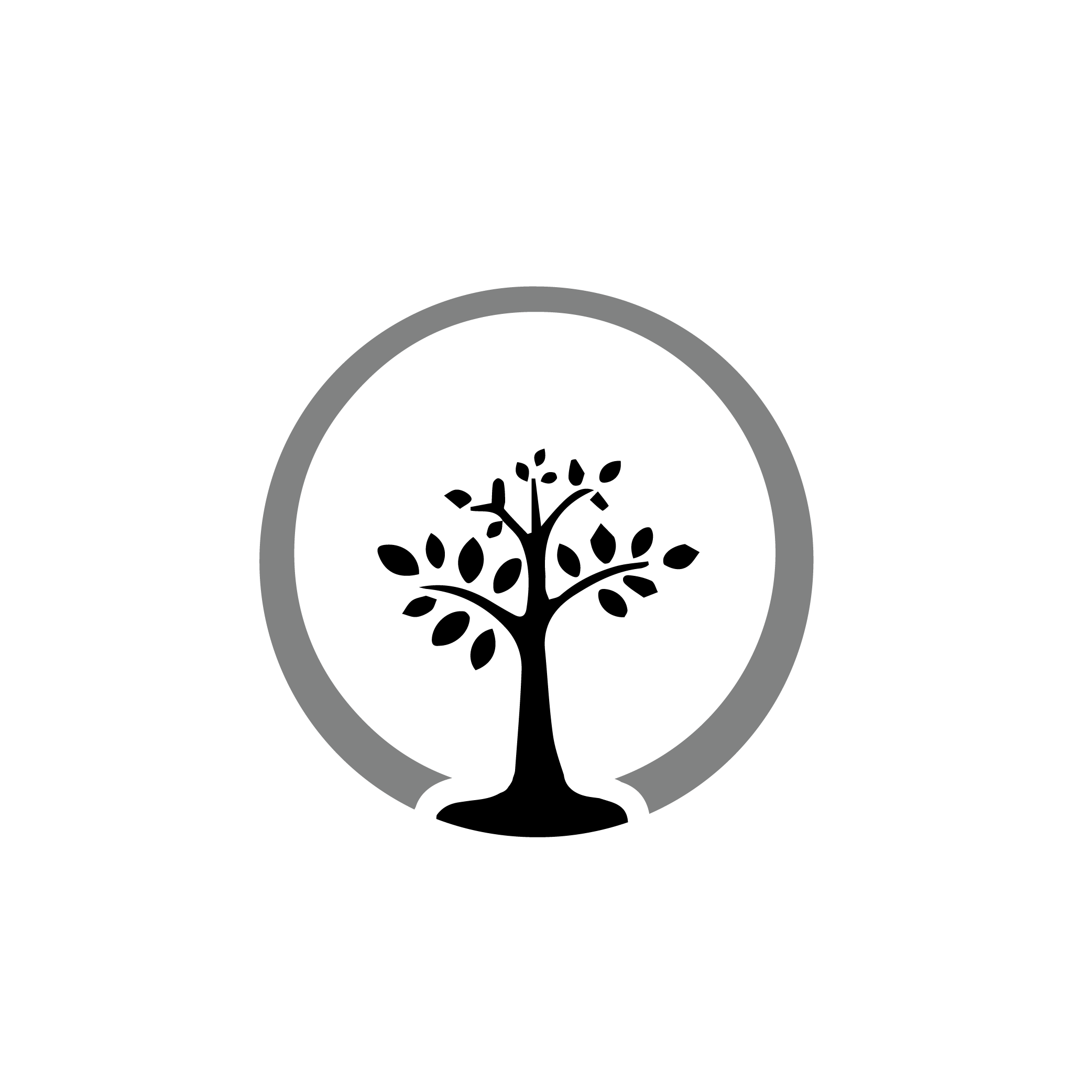 willow-04.png