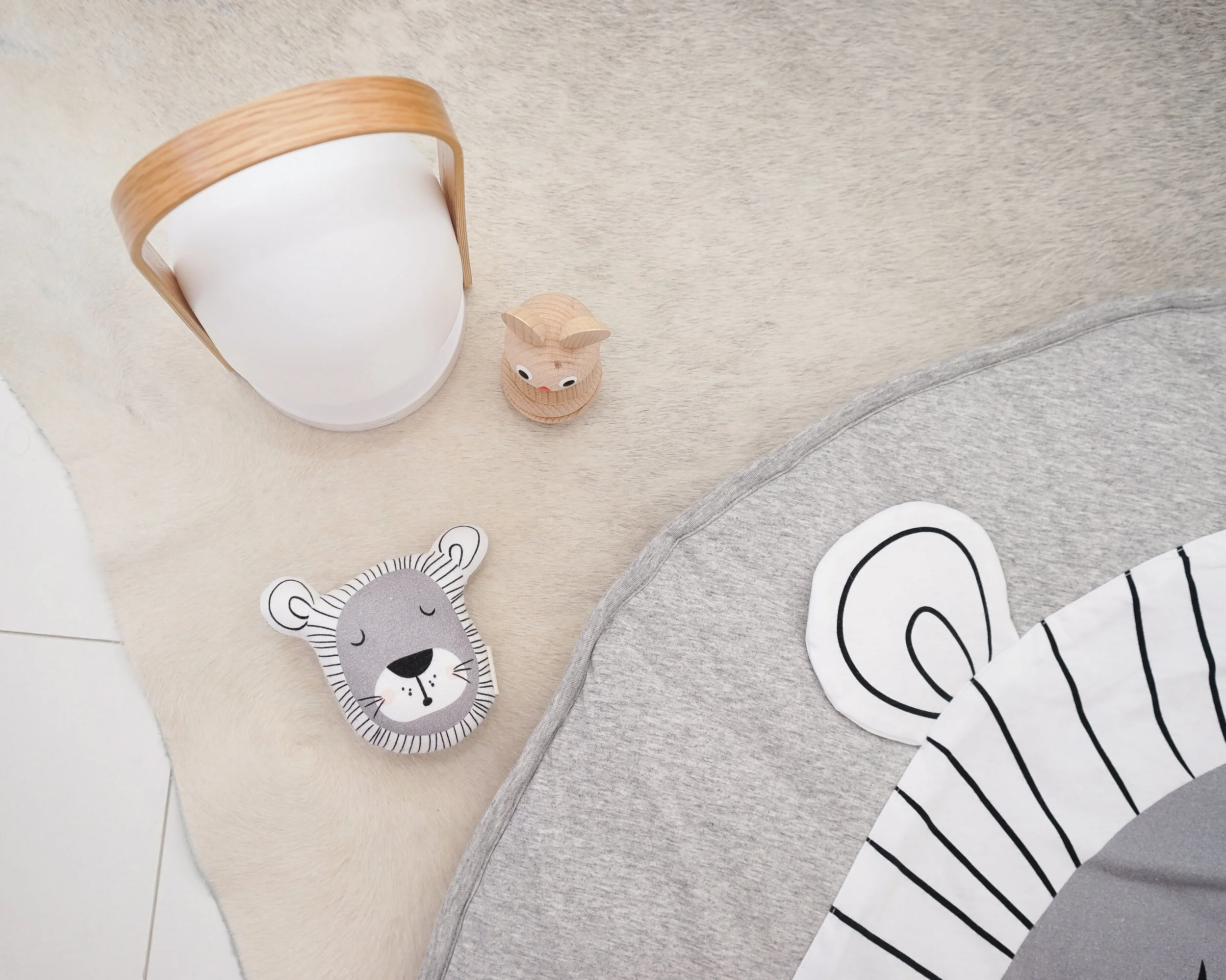 Rattles_mister fly.jpg