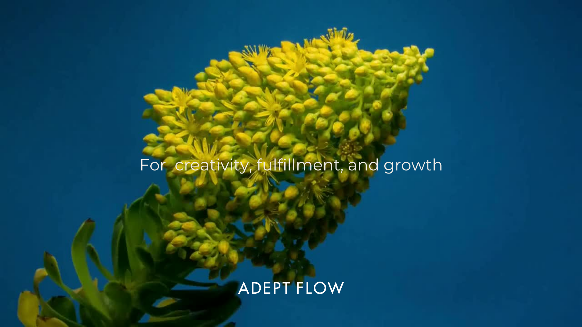 02.3 For Creativity Fulfillment and Growth  _ Adept Flow.png
