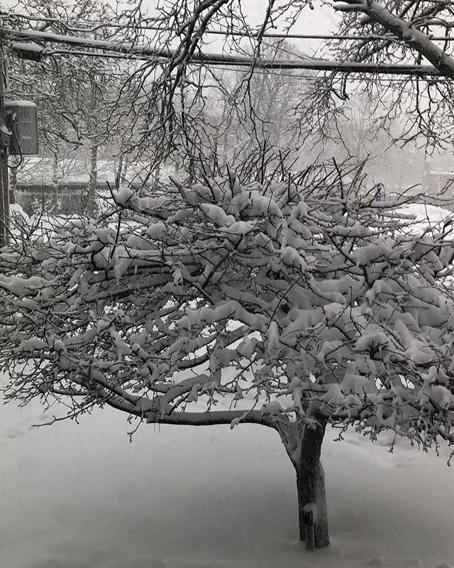 You may think this is black &amp; white, but all I see is color.