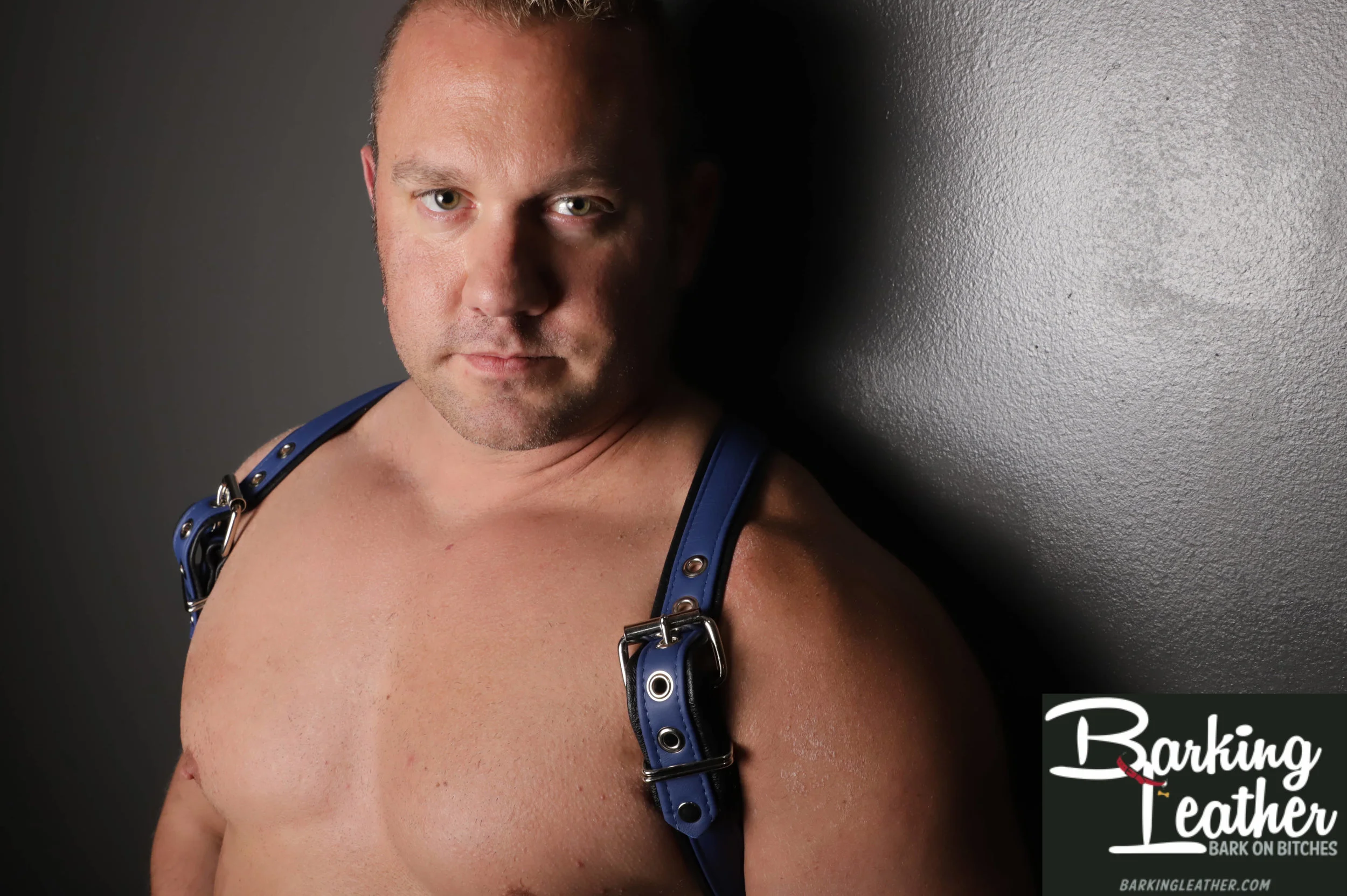 Blue Assassin Harness