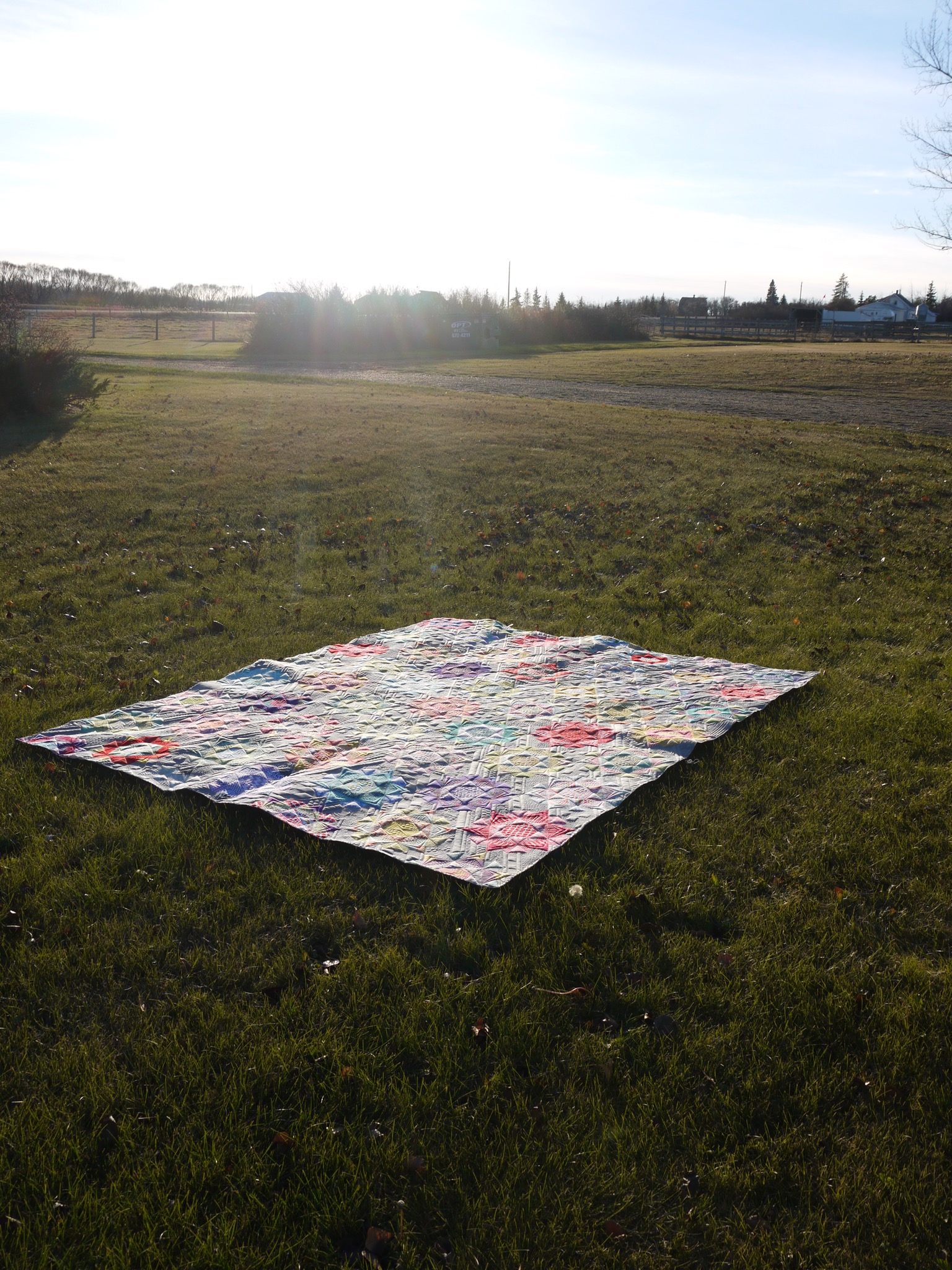 p1030952-0.jpg