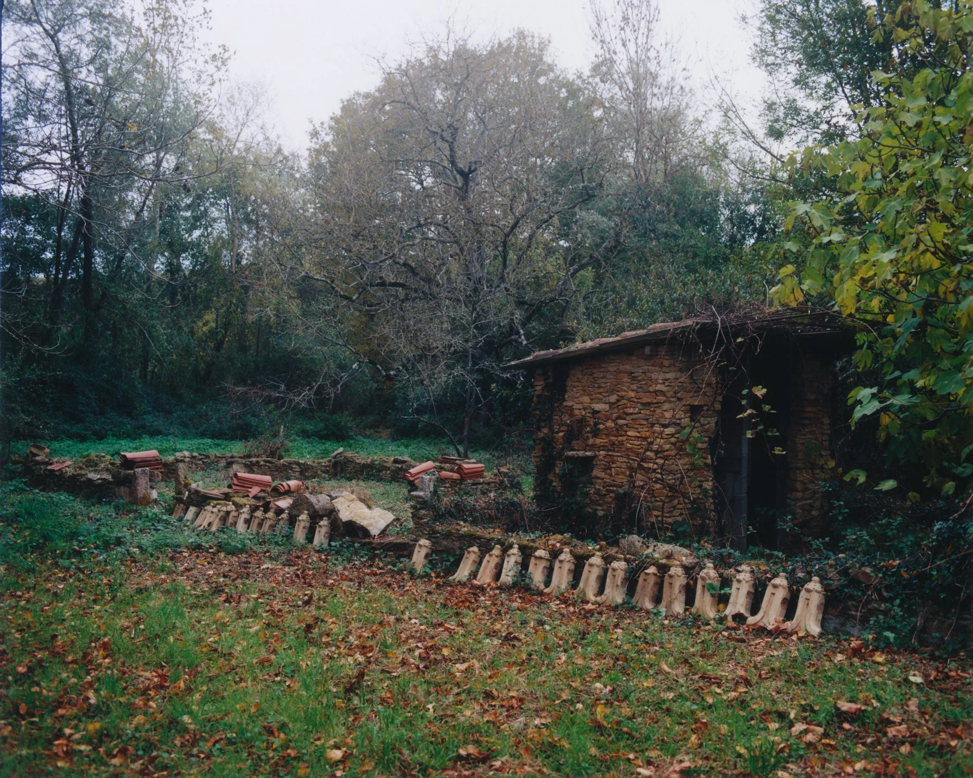 WoI_Barthète (5).jpg