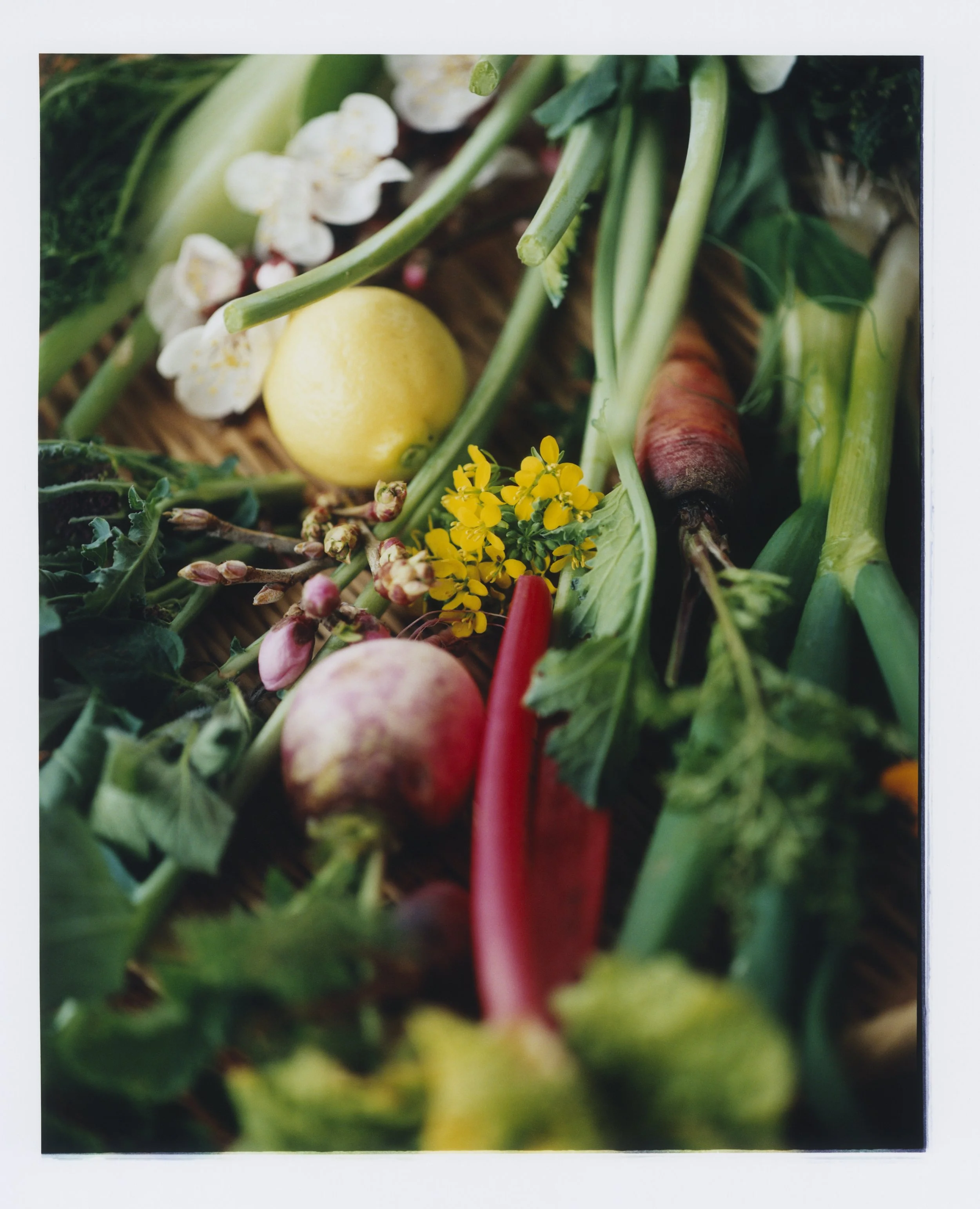 Le Doyenné (7).jpg