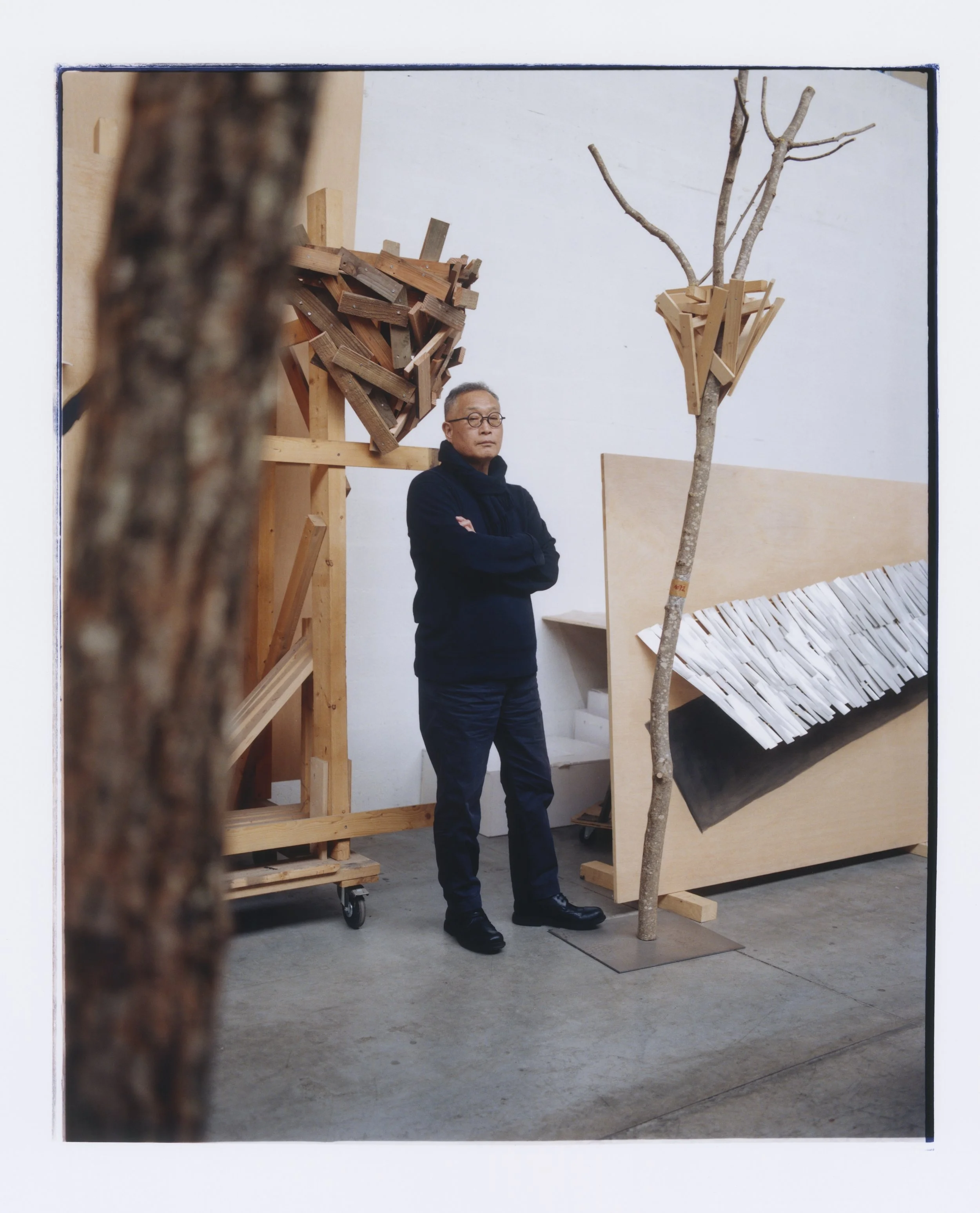 Tadashi Kawamata (7).jpg