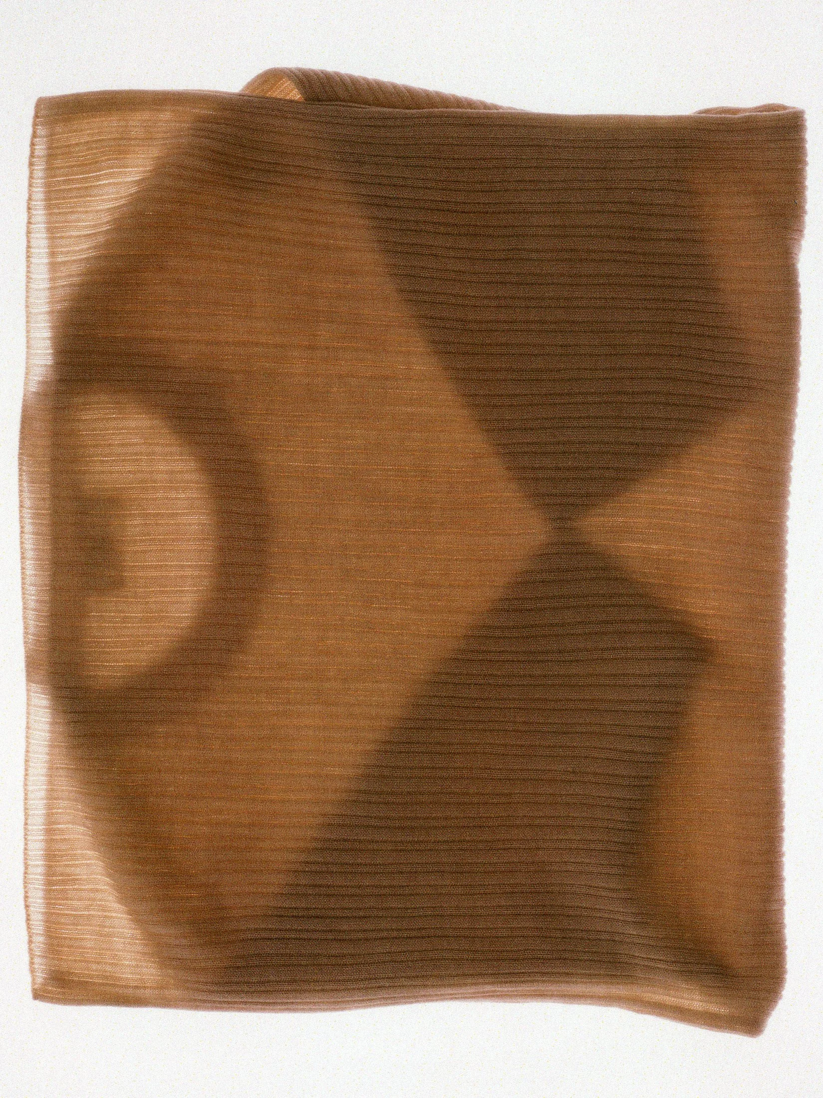 440ME_Still_Life_Scan-017 crop.jpg