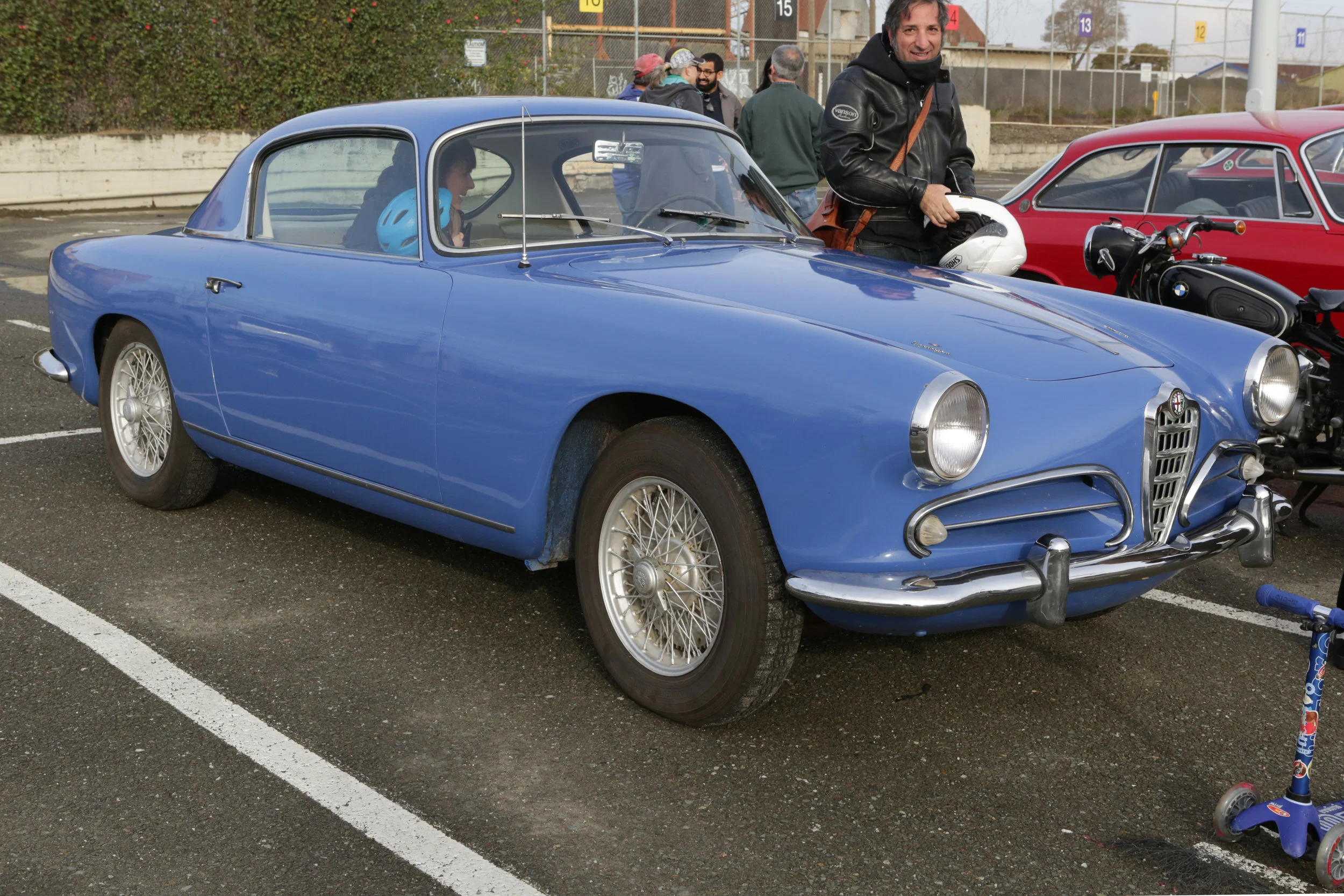 berkeleybluealfa-1.jpg