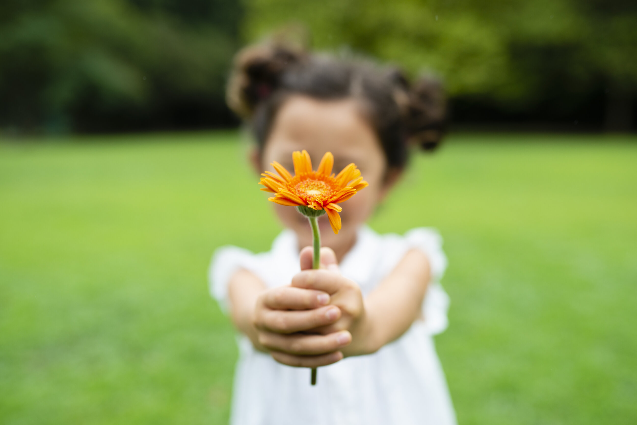 AdobeStock_216834006.jpeg