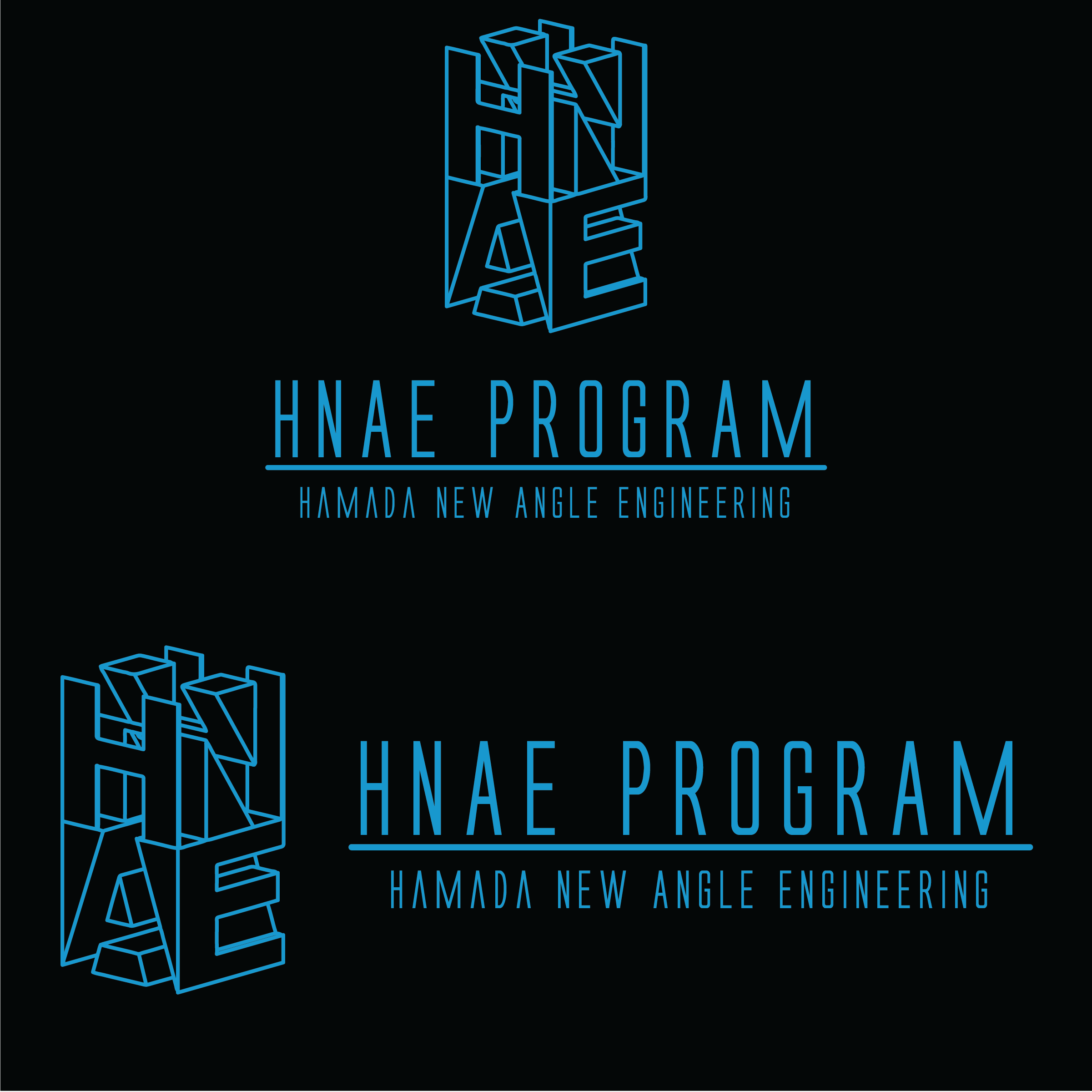 HNAE Logo Drafts-02.png