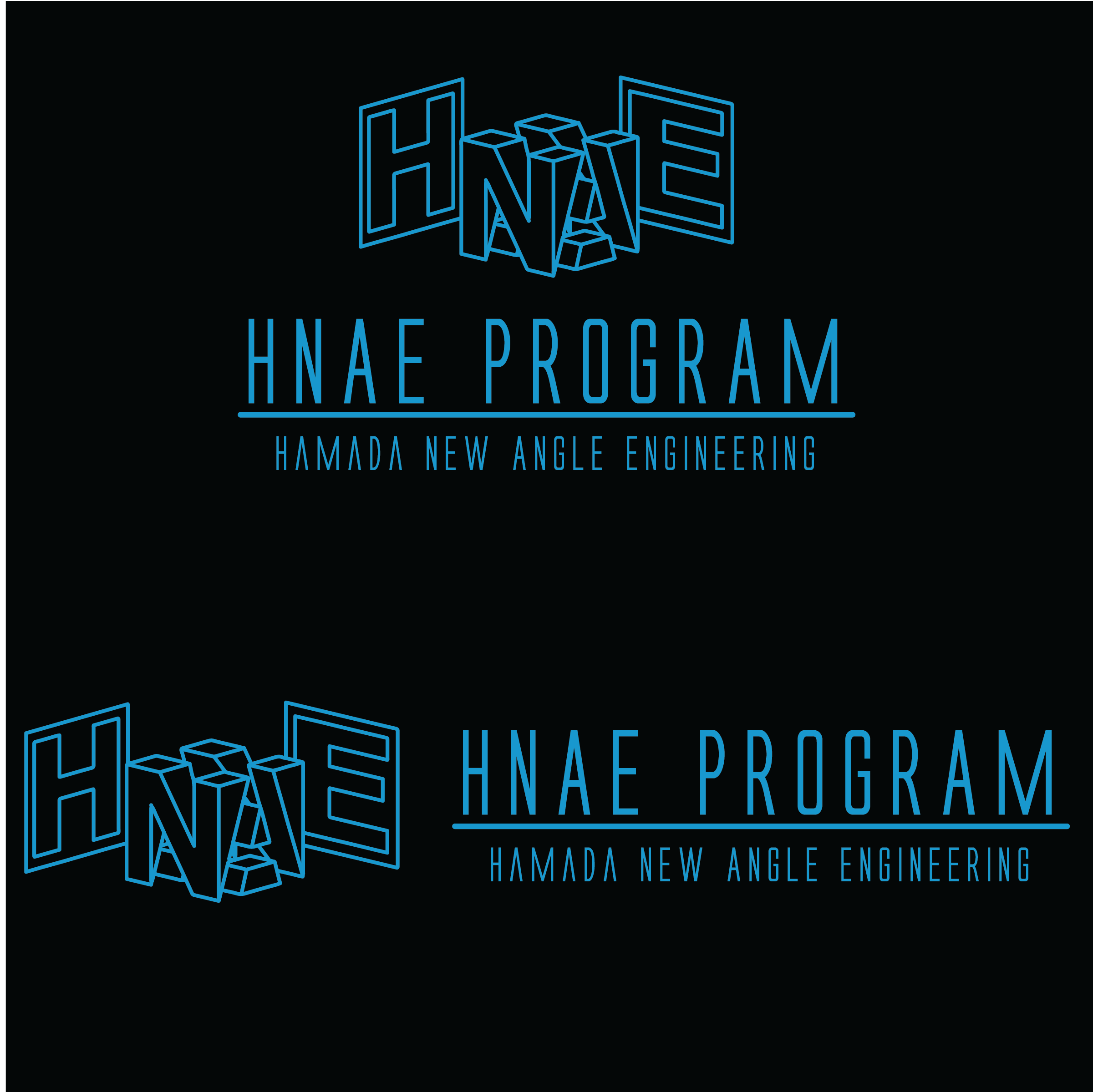 HNAE Logo Drafts-03.png