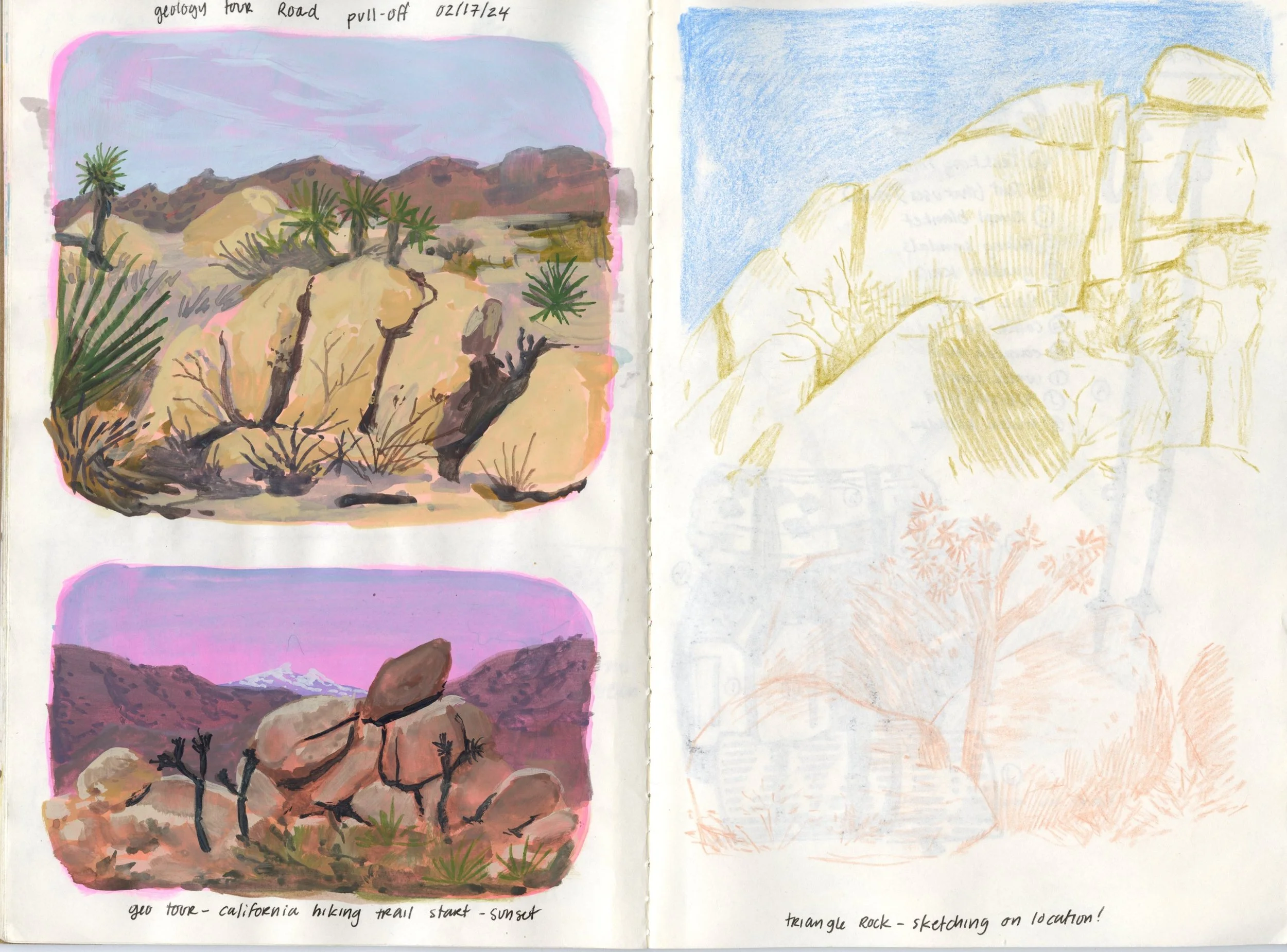 Joshua_Tree_Sketchbook20241114_0007.jpg