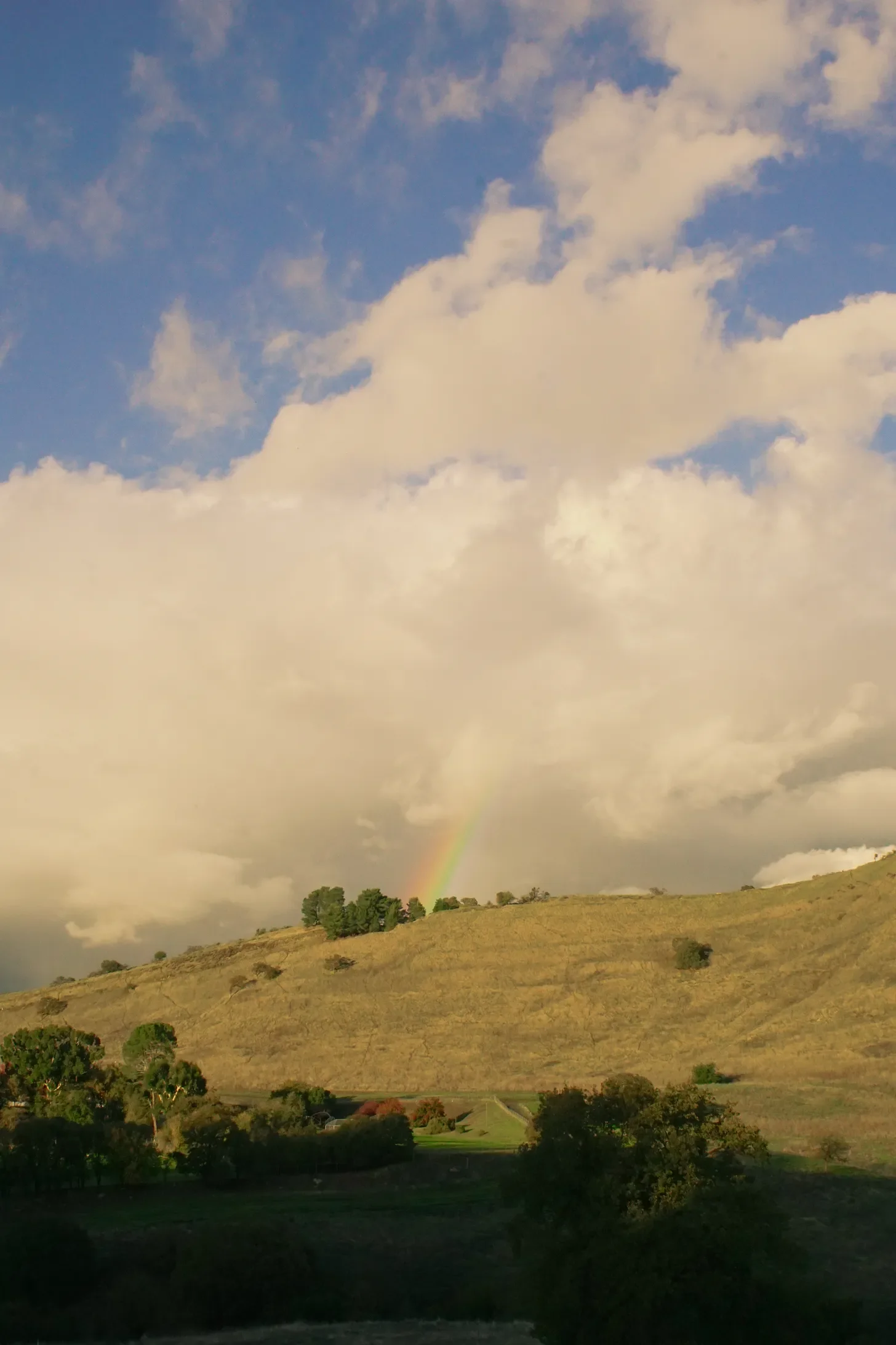 a photo I took of a rainbow, signaling a transformation of the golden hills to green again on Mt. Diablo, as the year came to a close. (shot with my sony a6000)