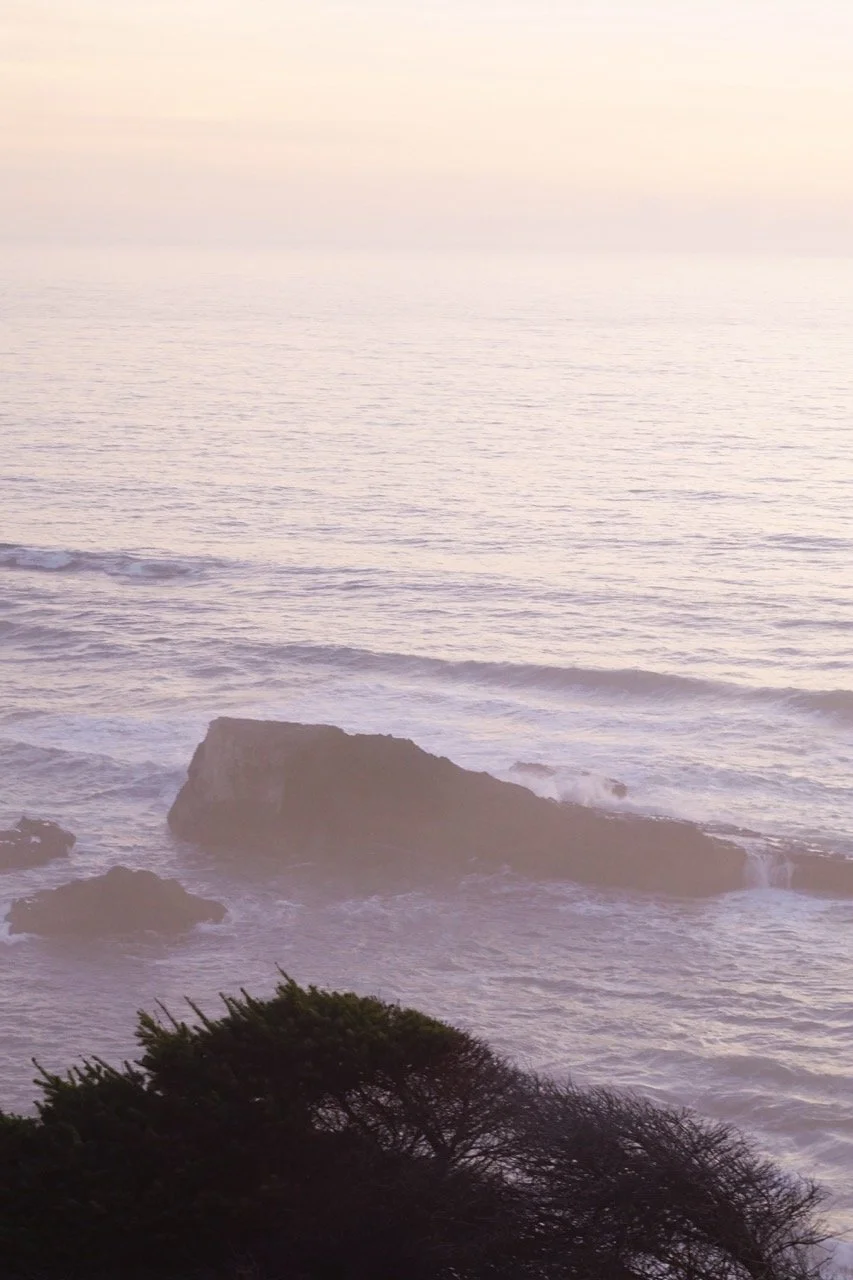 big_basin_edited-02 Large.jpeg