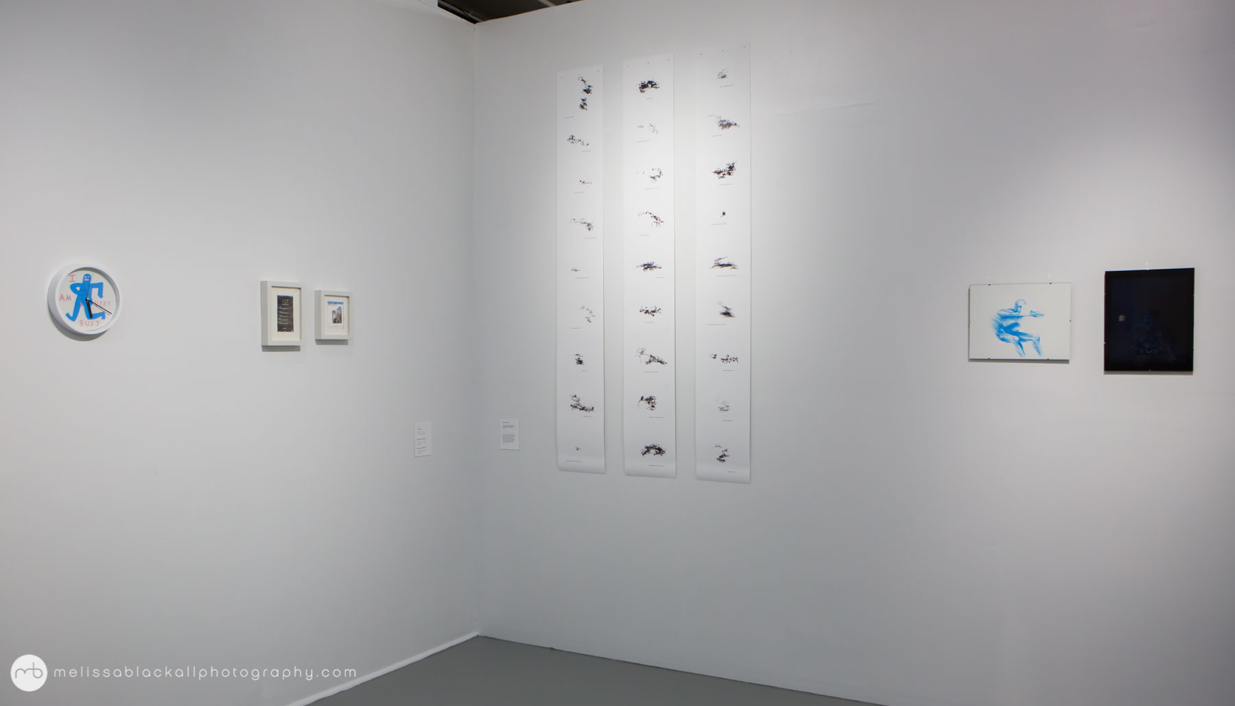 Mills Gallery, Boston Center for the Arts, 2017; Photo: Melissa Blackall Photography.&nbsp;