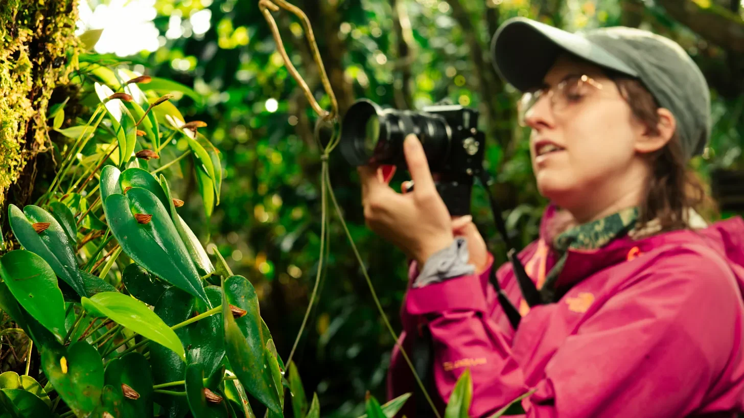 photography should happen without notifications