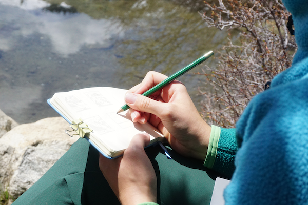 why you should learn to draw with me