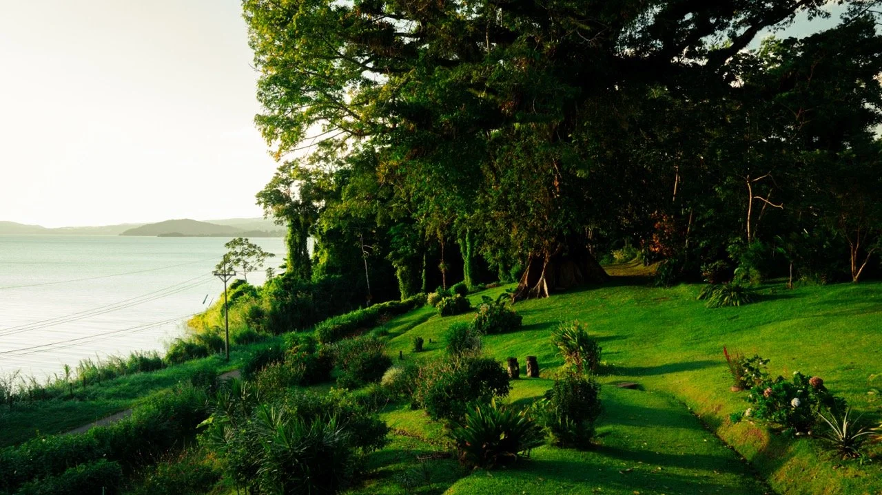 NIK_3886-2 Large.jpeg