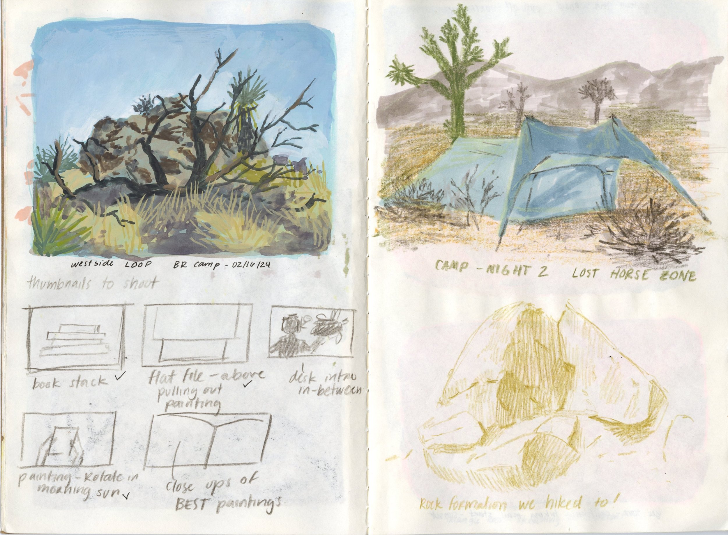 Joshua_Tree_Sketchbook20241114_0006.jpg