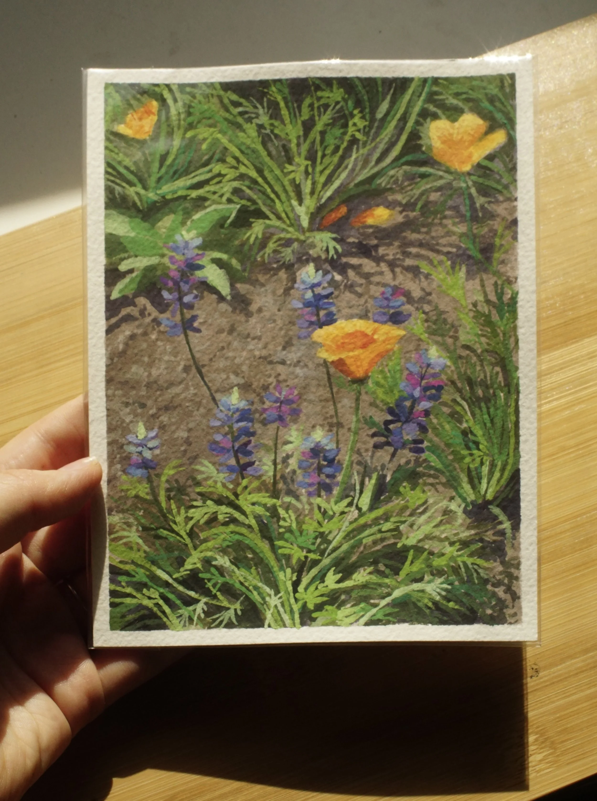 Poppies & Lupine  5" x 7" original painting