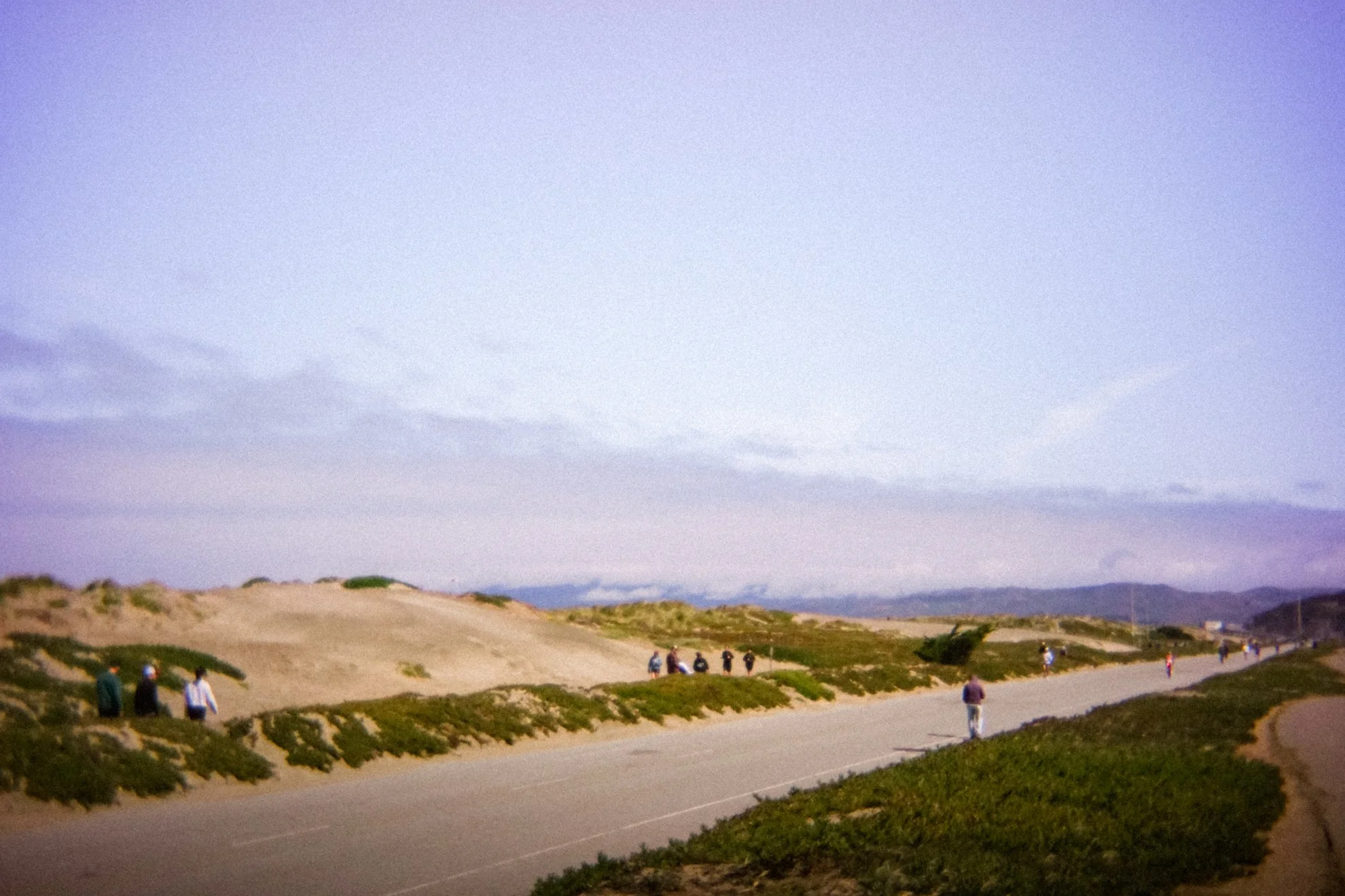 DSC08008.jpg