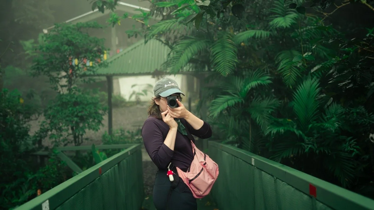 Build your Analog Foundation for 2026