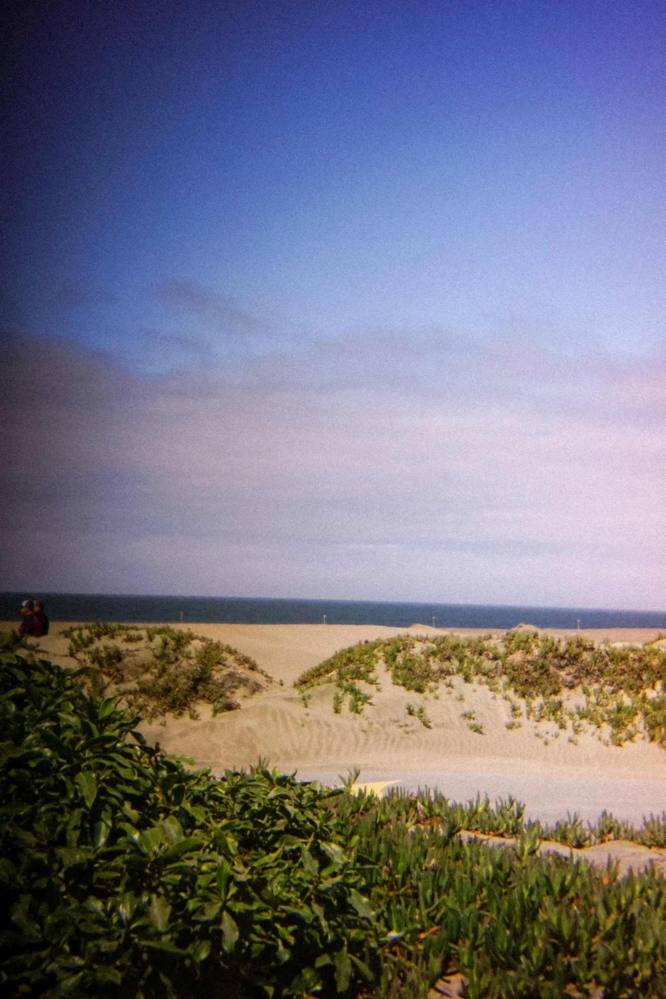 DSC08007.jpg