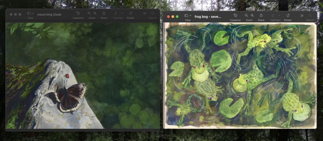 image of a computer screenshot showing two paintings. one of a butterfuly sitting on a rock with a ladybug. another with seven frogs swimming in a green pond