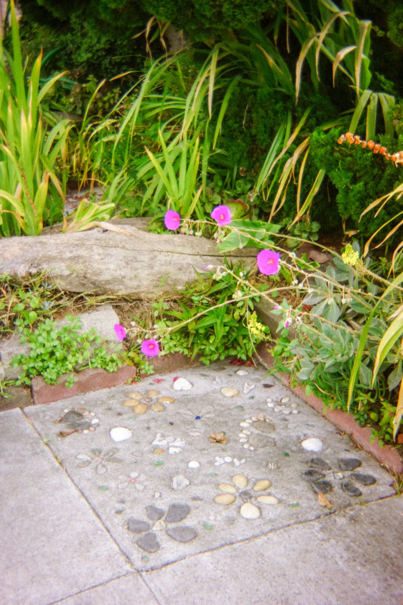 DSC08068.jpg
