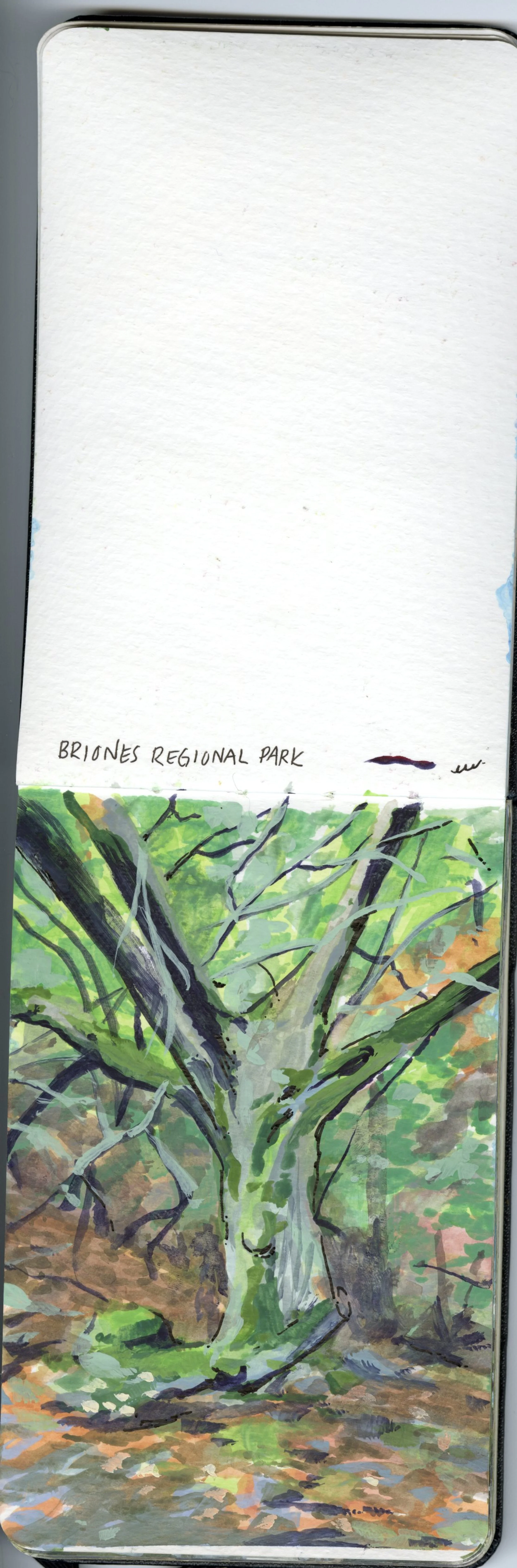 Moleskine_Watercolor_Sketchbook_202420241114_0012.jpg