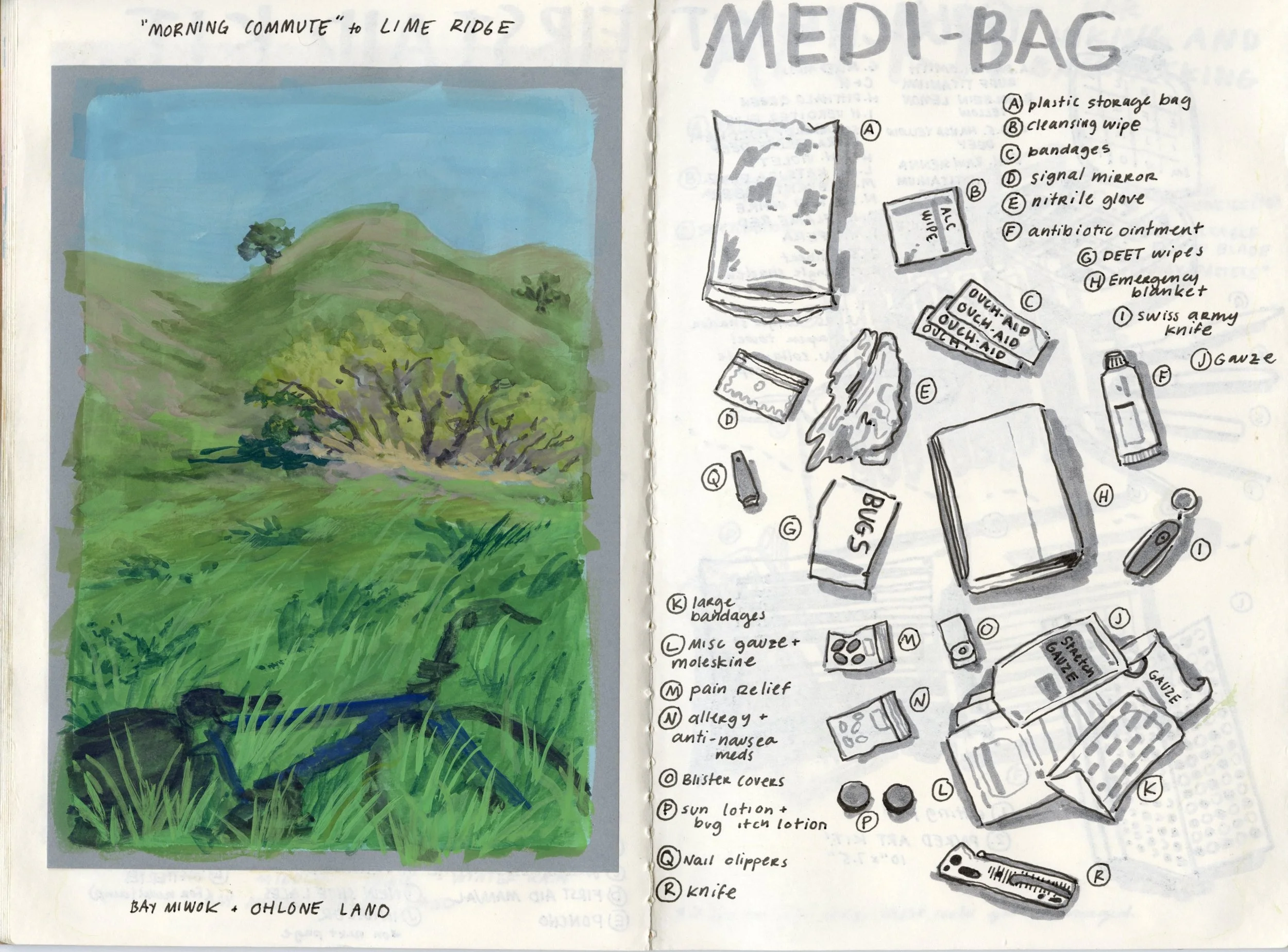 Joshua_Tree_Sketchbook20241114_0013.jpg