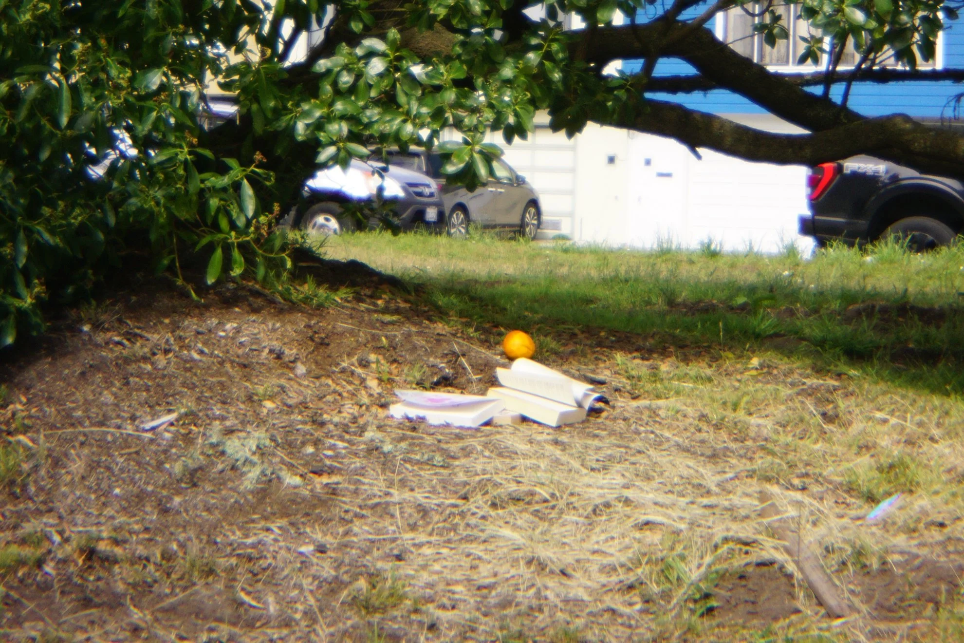 DSC08059.jpg