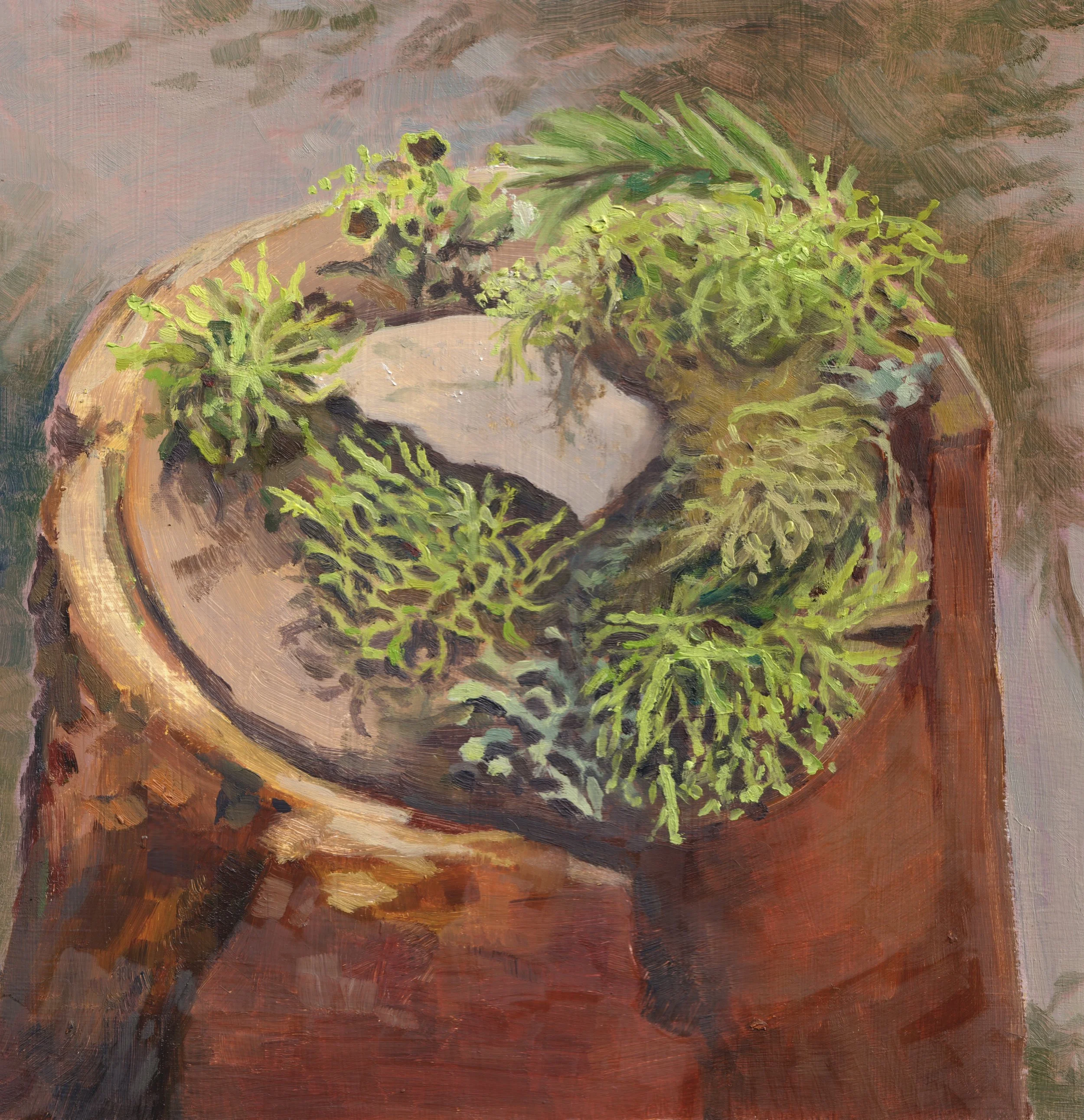 studio update summer 26 24.jpg