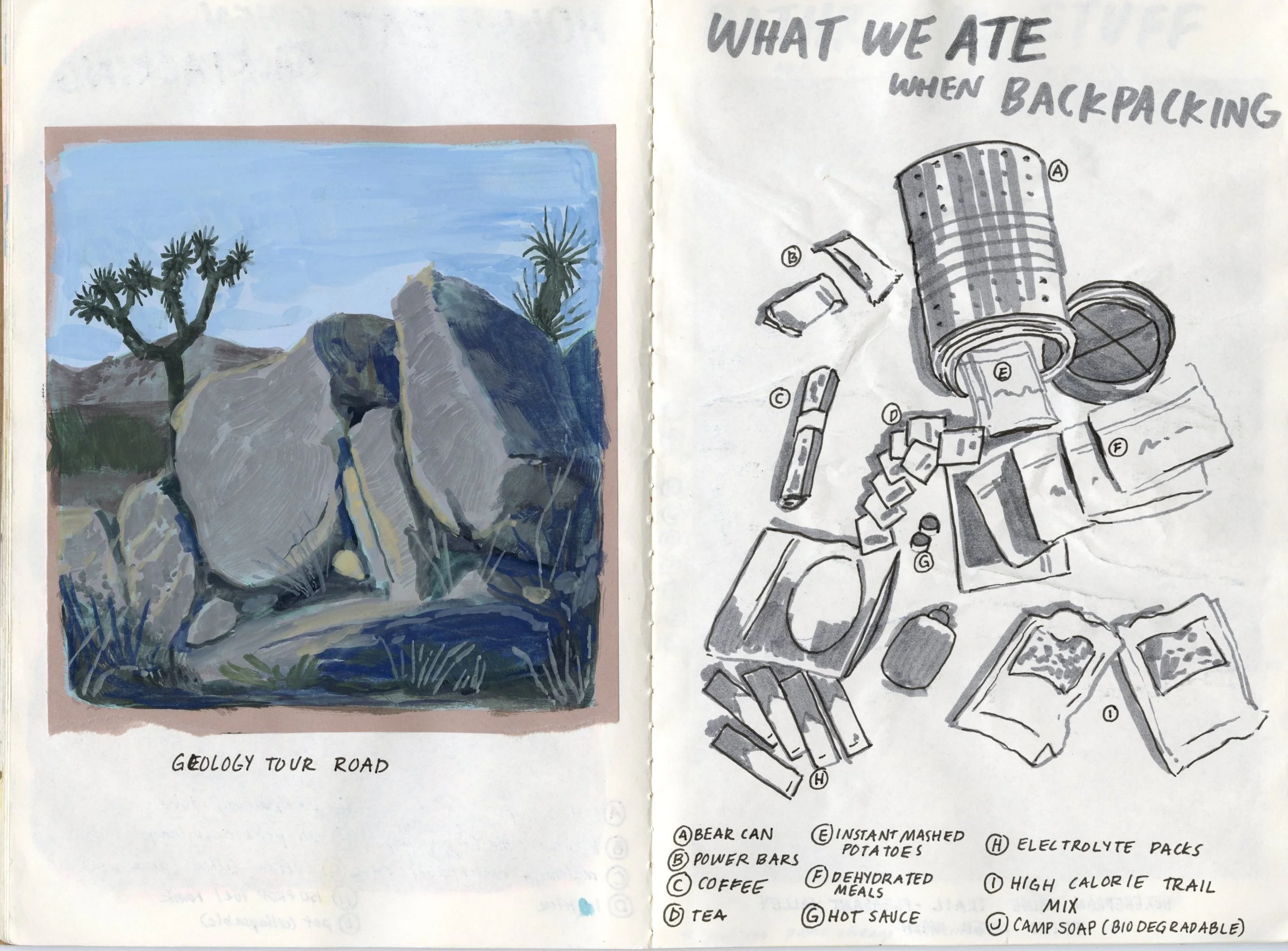 Joshua_Tree_Sketchbook20241114_0009.jpg