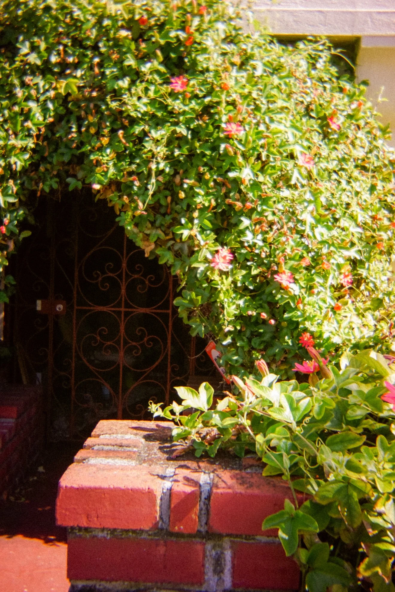 DSC07996.jpg