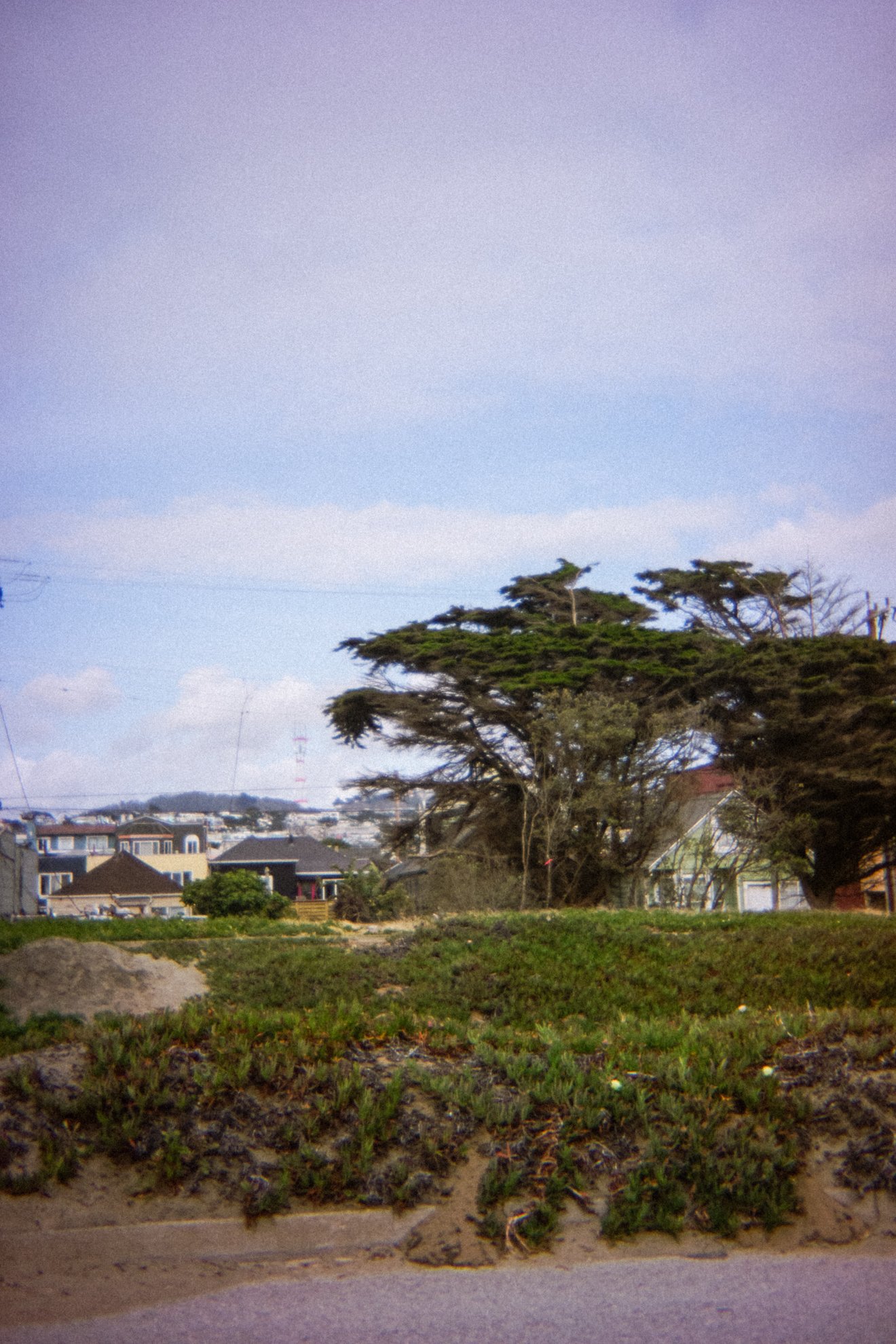 DSC08064.jpg