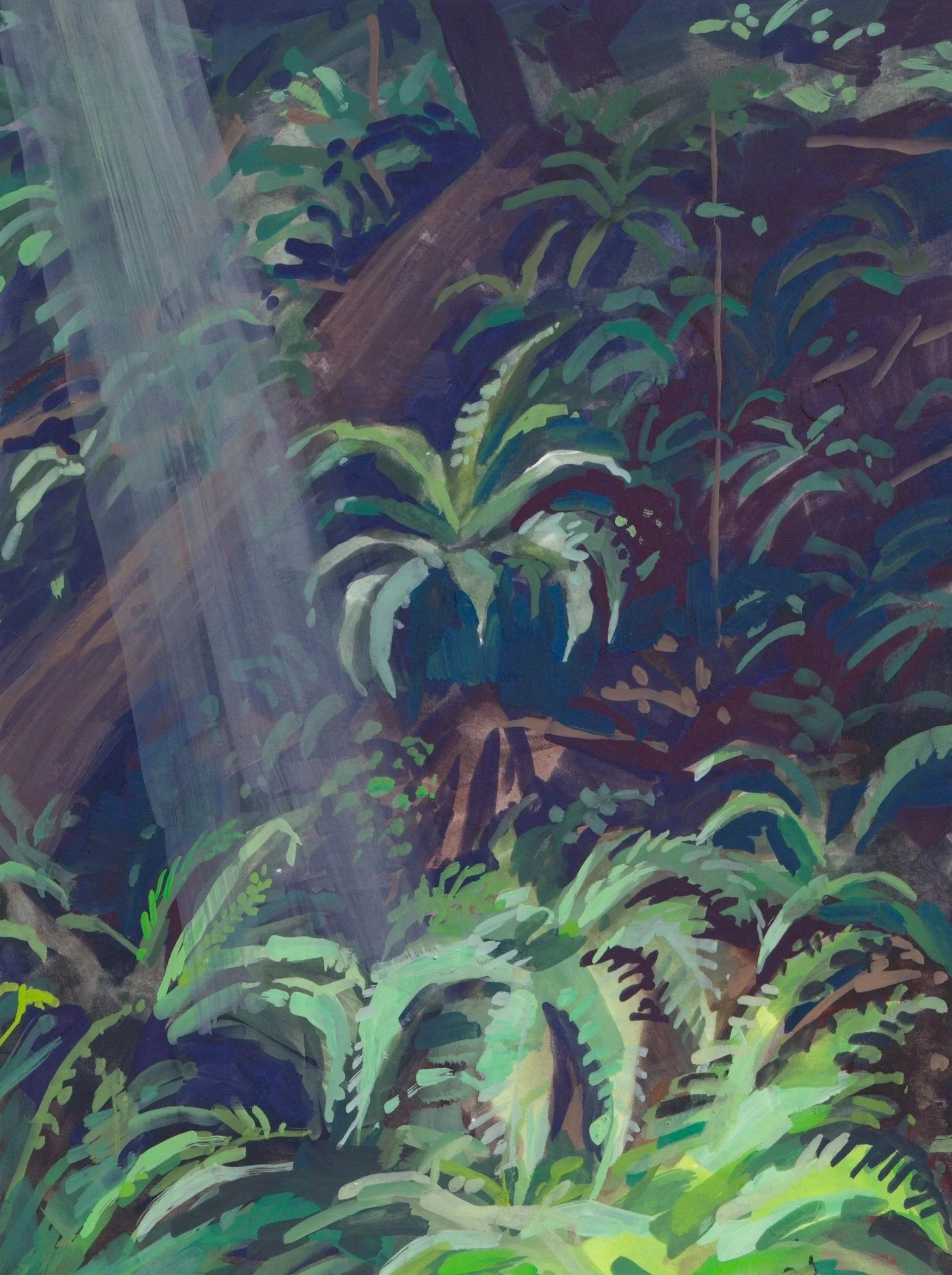 sword ferns.jpg
