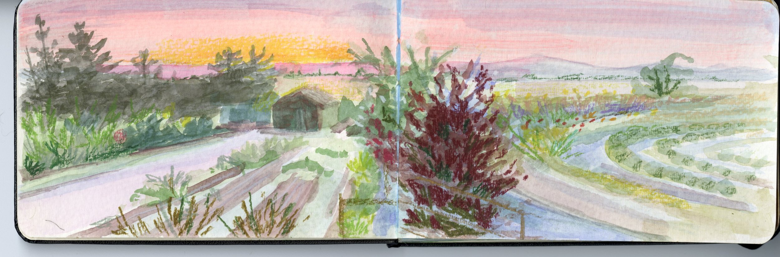 Moleskine_Watercolor_Sketchbook_202420241114_0002.jpg
