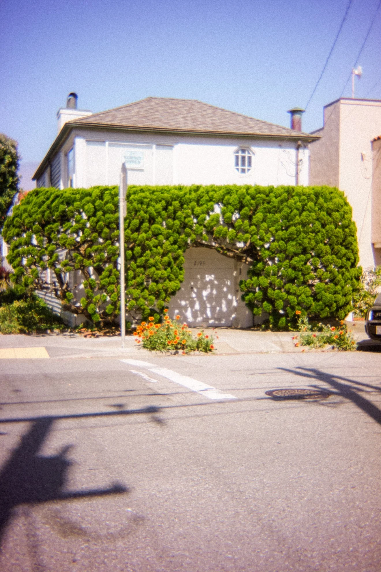 DSC08000.jpg