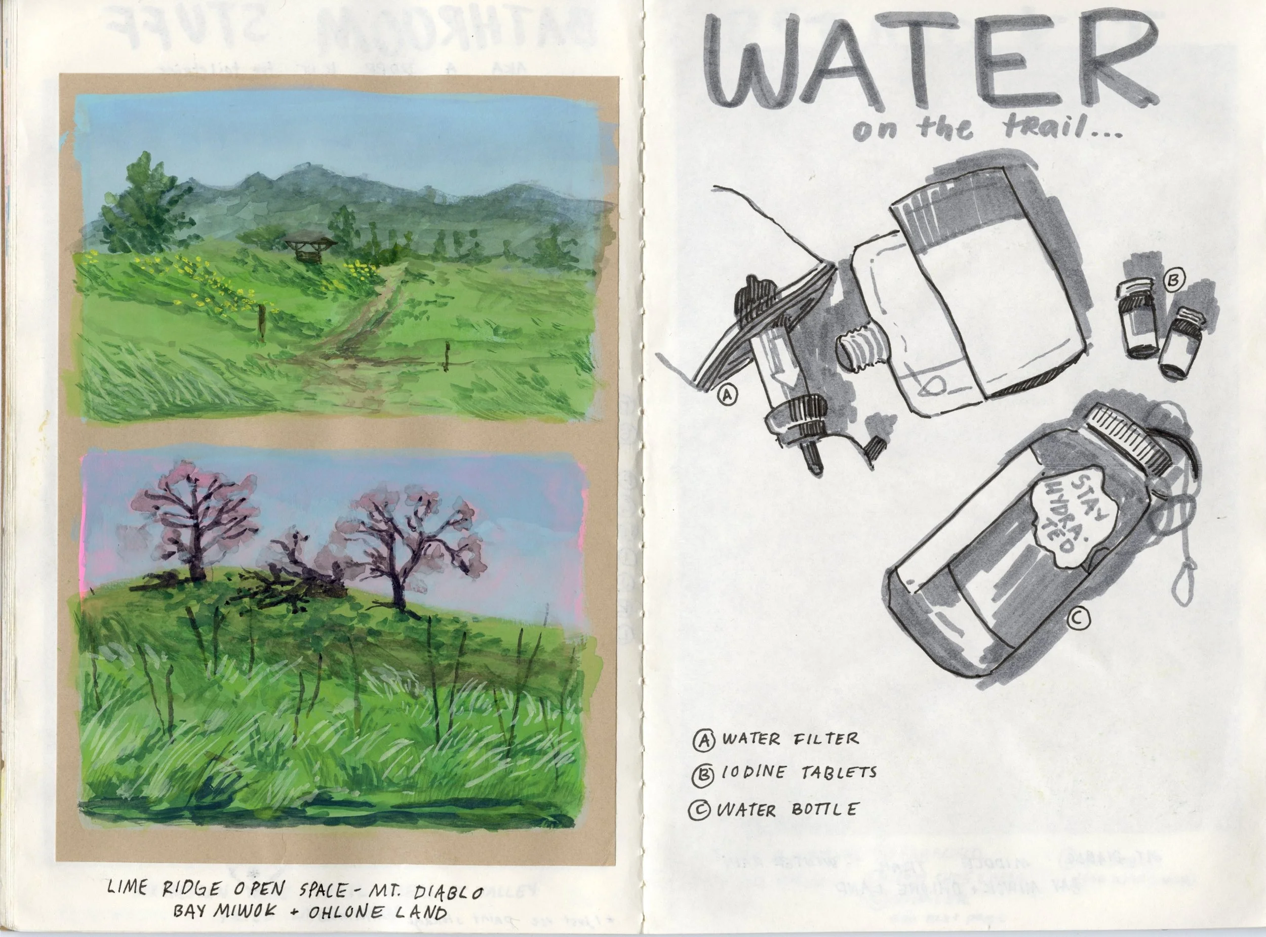 Joshua_Tree_Sketchbook20241114_0011.jpg