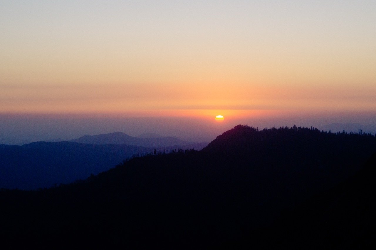 26 Sequoia-250 Large.jpeg