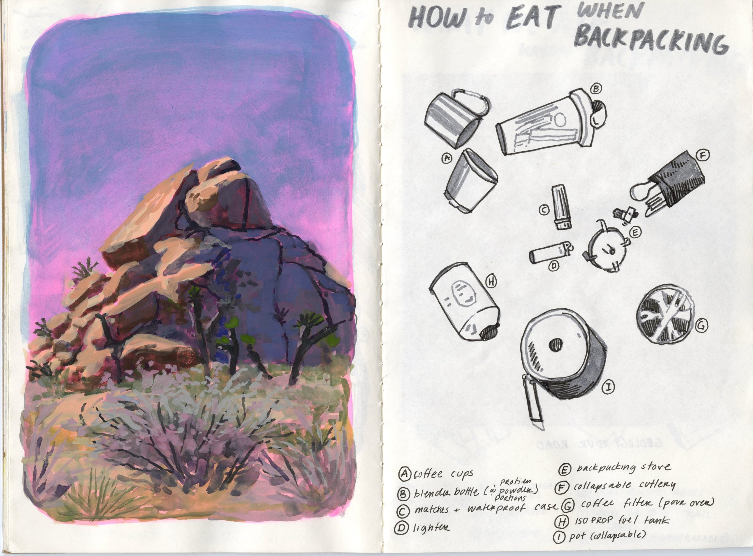 Joshua_Tree_Sketchbook20241114_0008.jpg