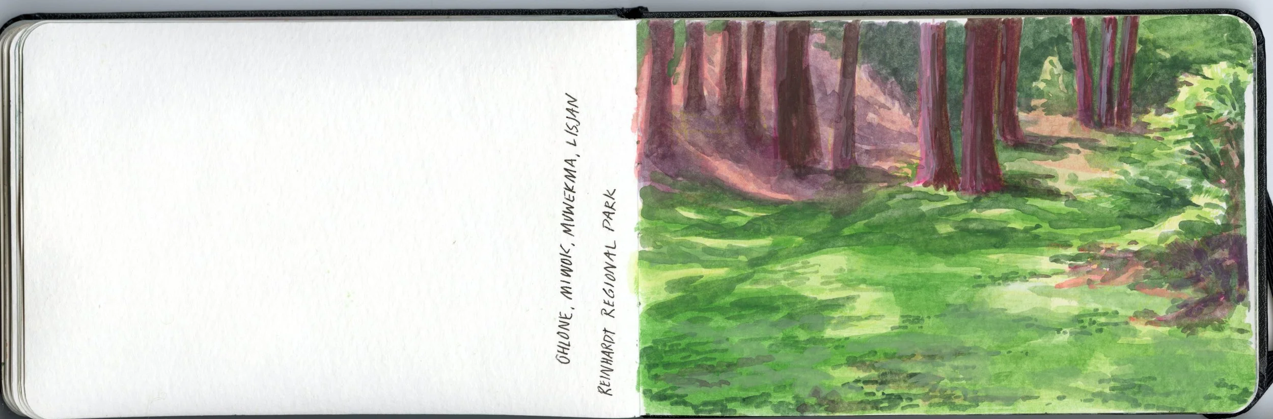 Moleskine_Watercolor_Sketchbook_202420241114_0029.jpg