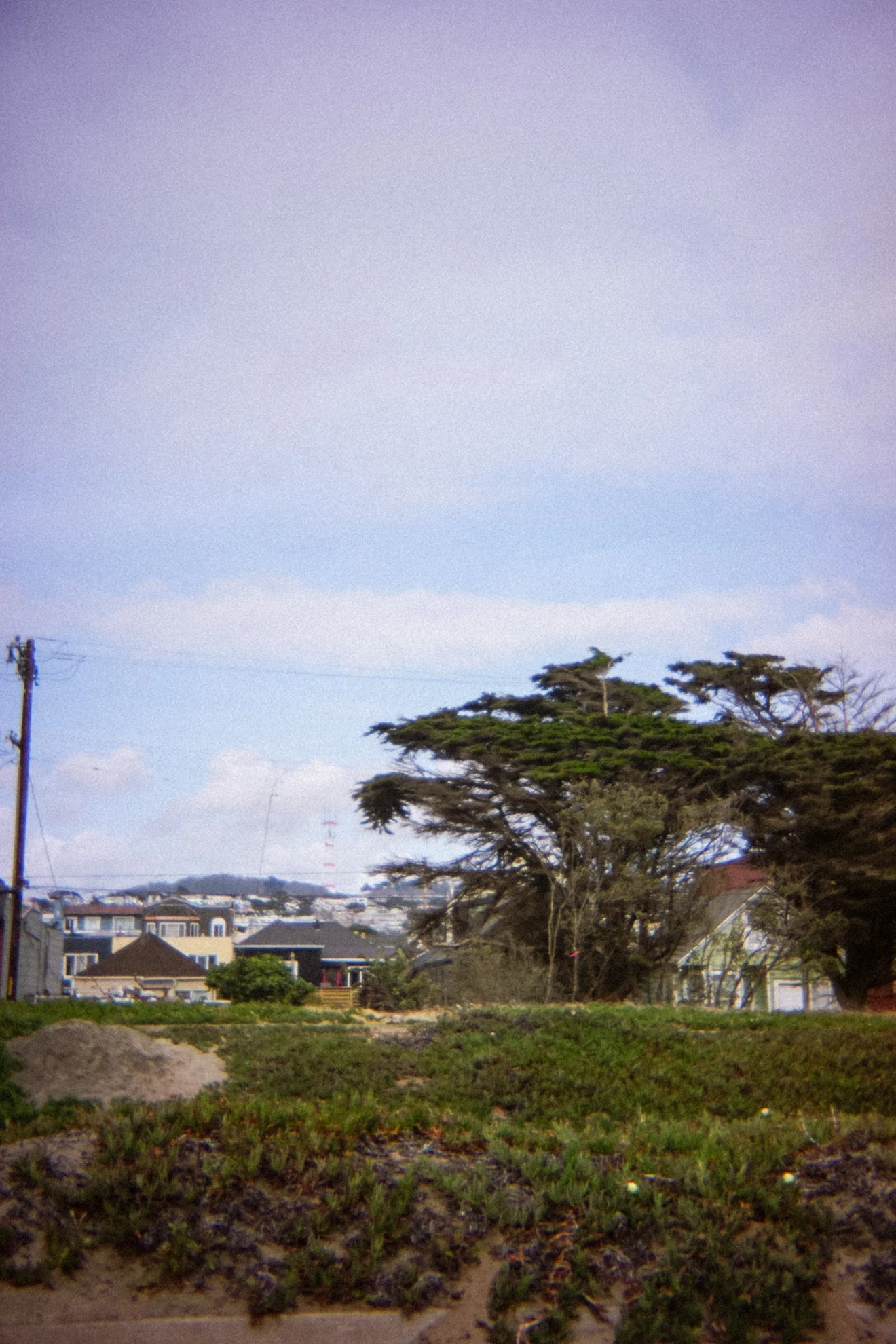 DSC08065.jpg