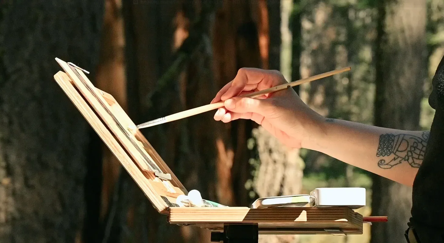 a video still, painting in Sequoia National Park