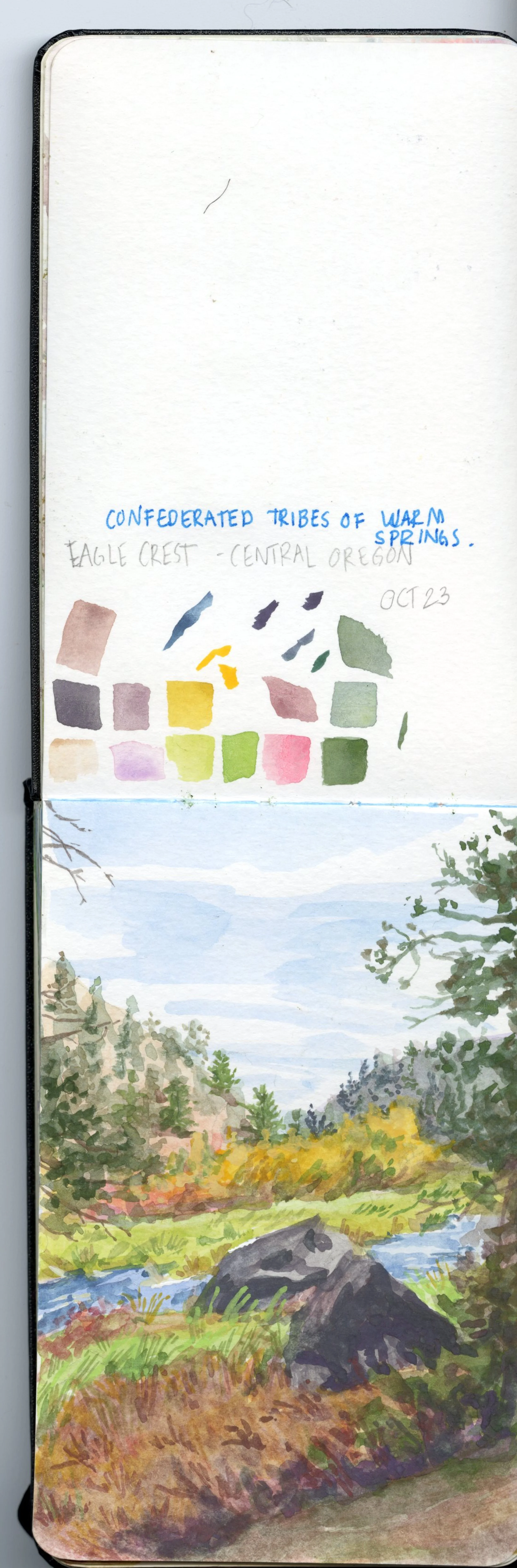 Moleskine_Watercolor_Sketchbook_202420241114_0003.jpg