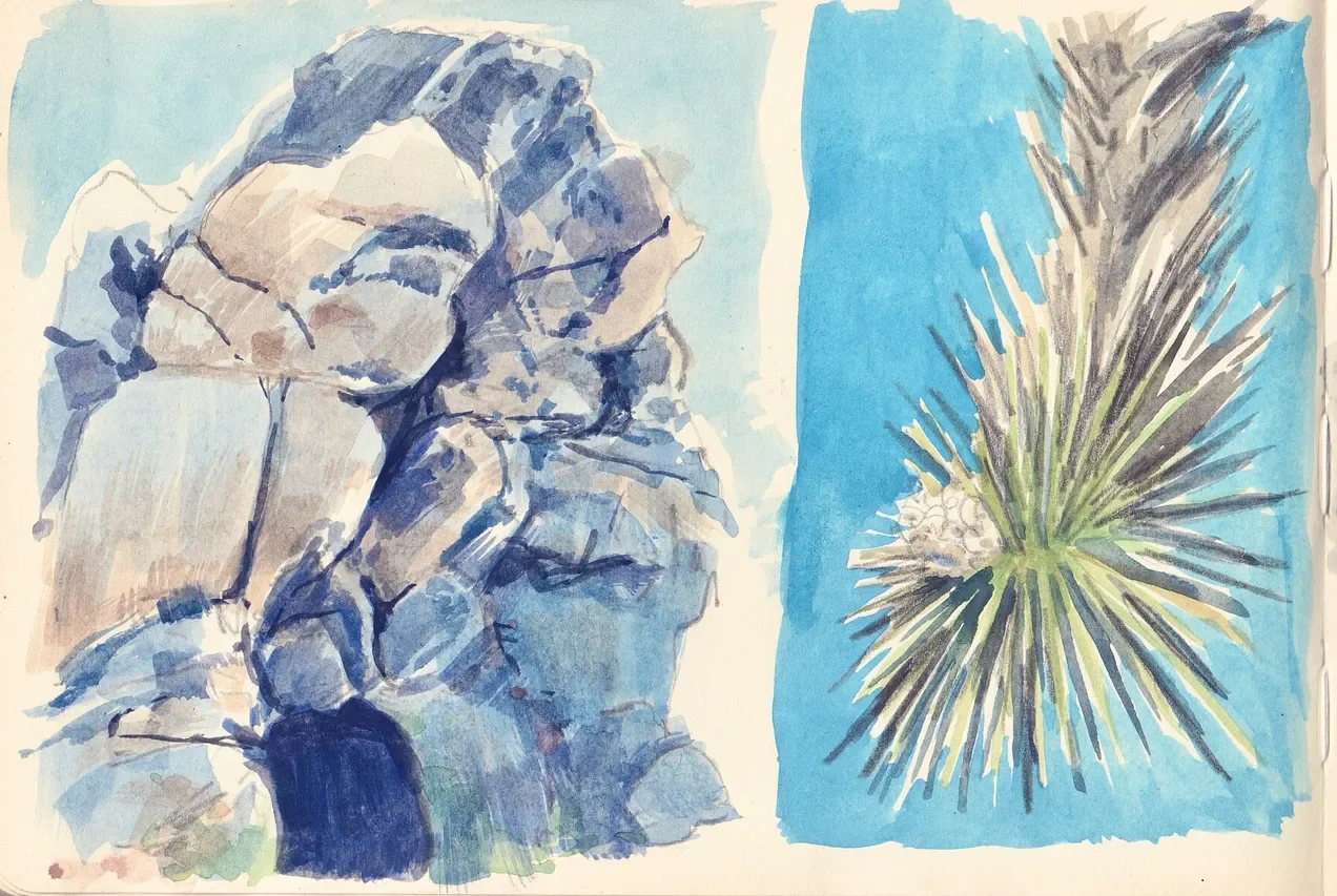 exploring the strange blue of mid-day sun shadows on the granite rocks of Joshua Tree National Park, and a flowering Joshua Tree in my sketchbook. both made with gouache.