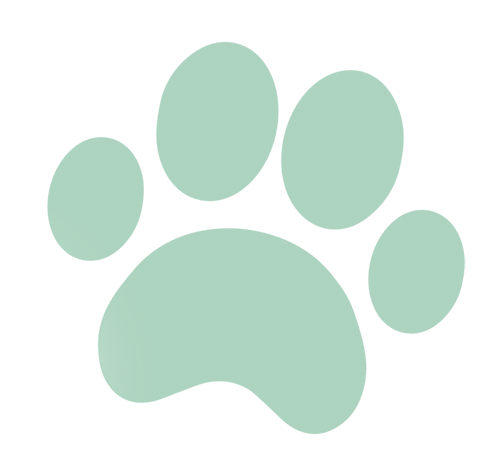 paw.png