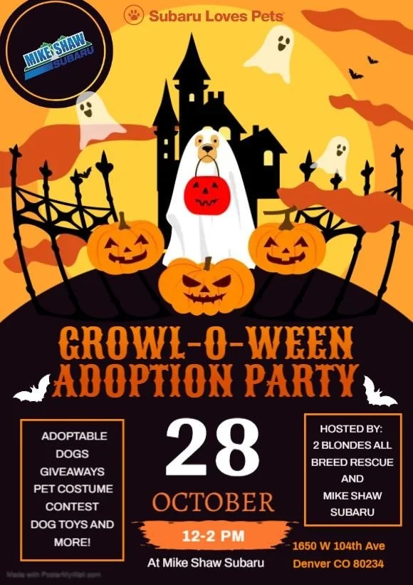 GROWL-O-WEEN Adoption Party