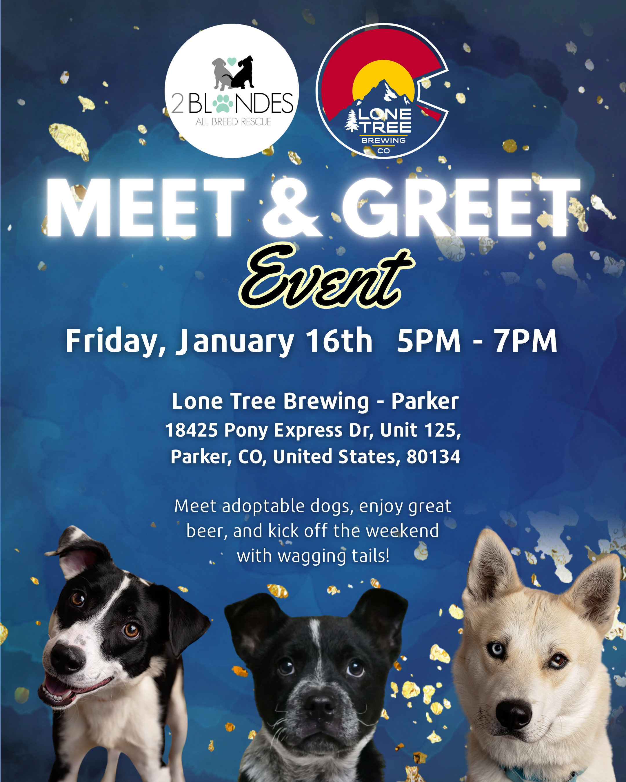 Meet &amp; Greet at Lone Tree Brewing – Parker